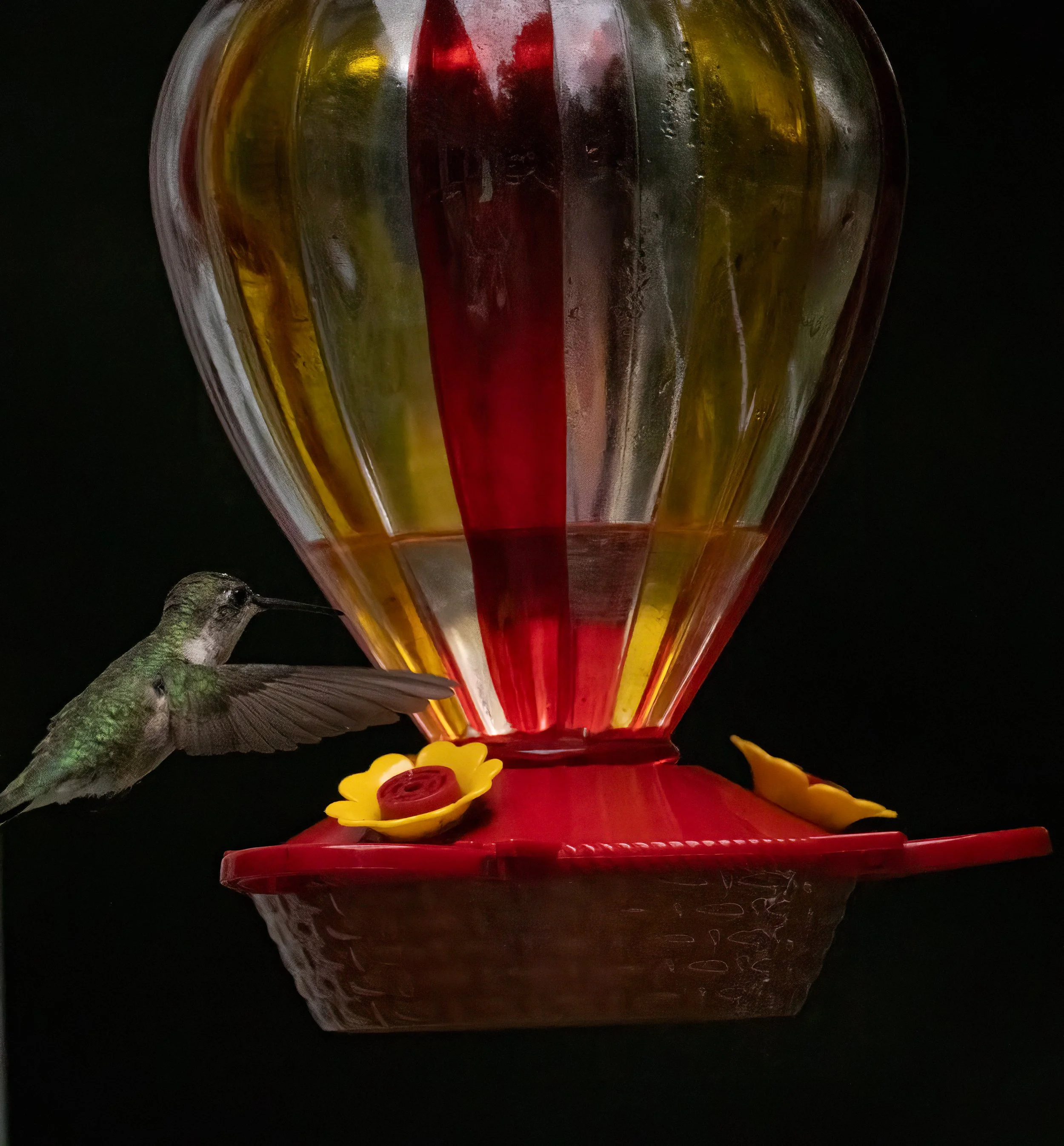 8L2A2663-Edit.jpg