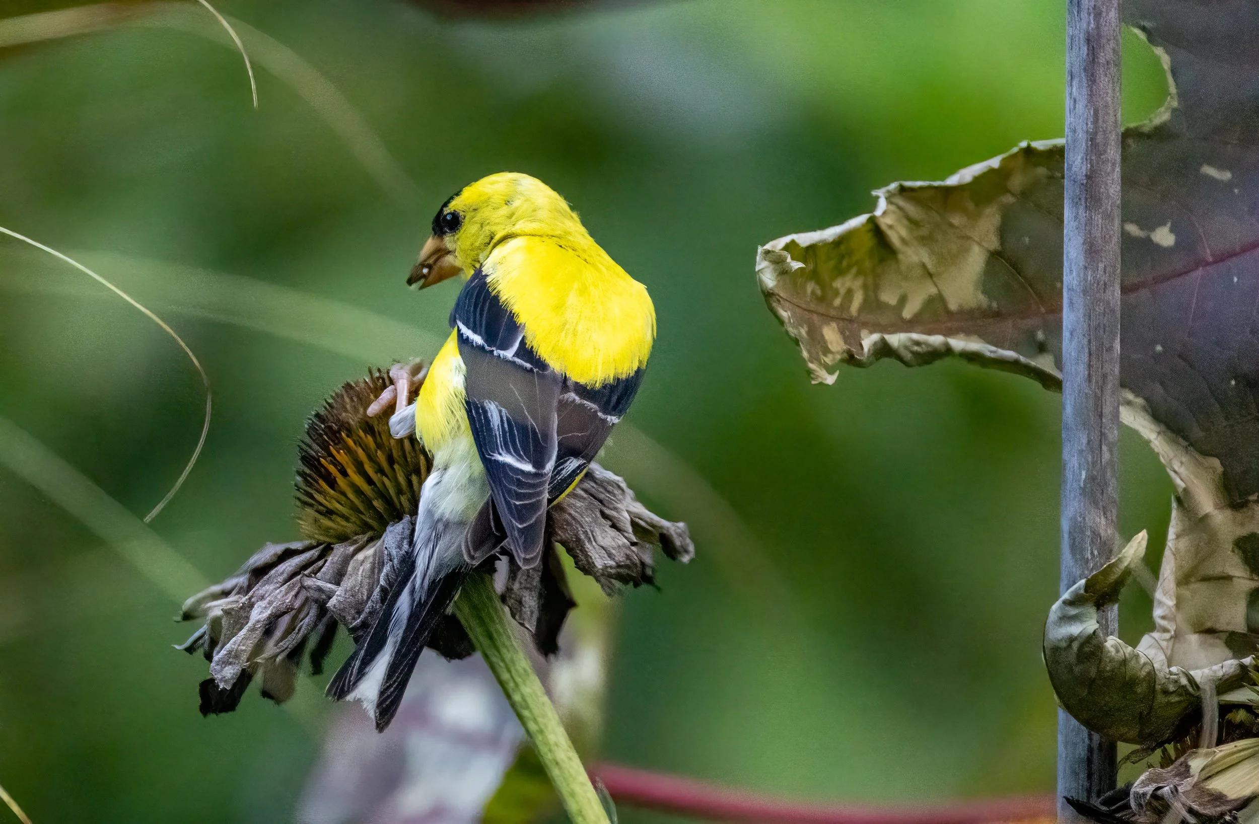 8L2A3774-Edit.jpg