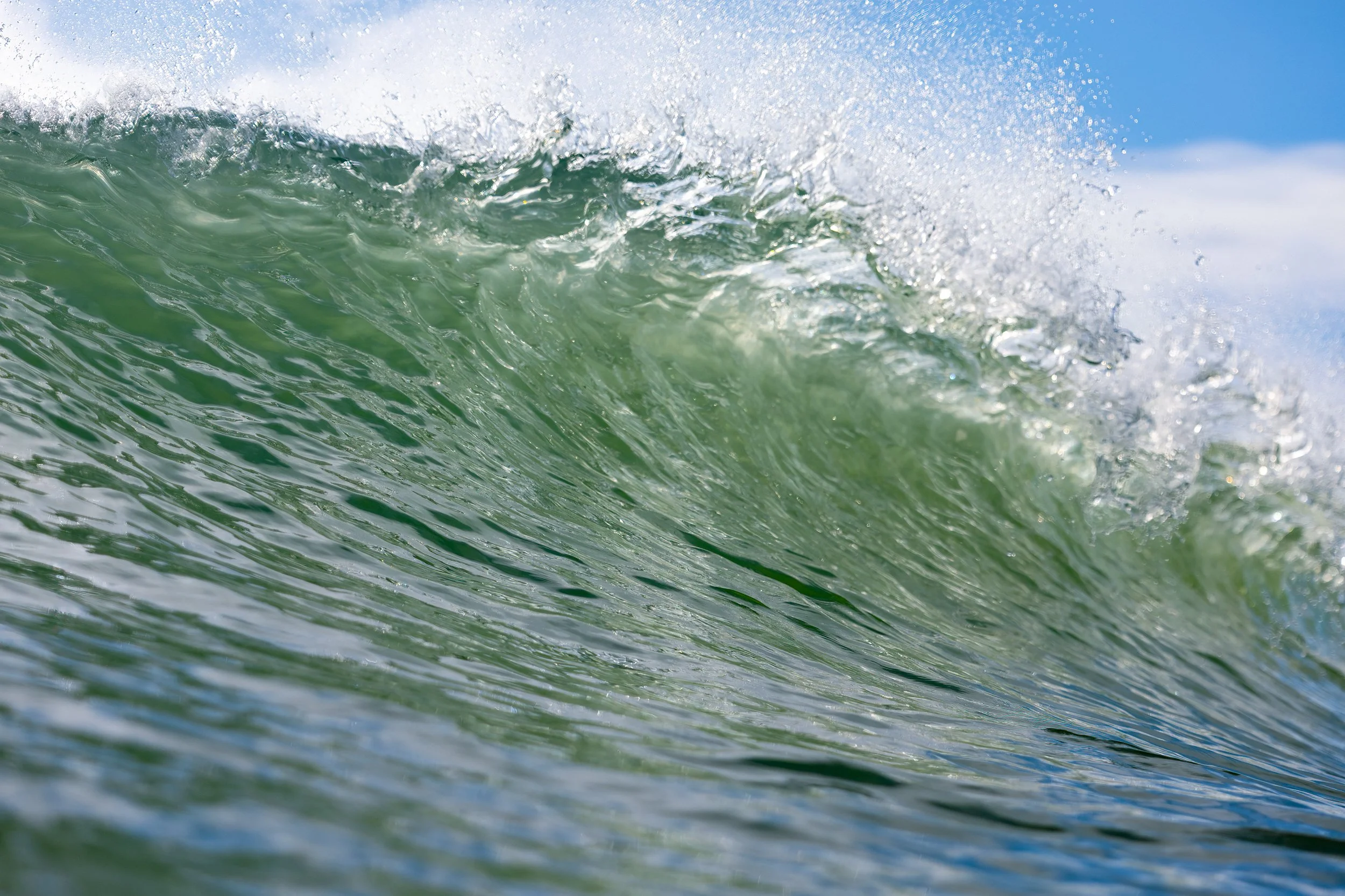 1X5A7446-Edit.jpg