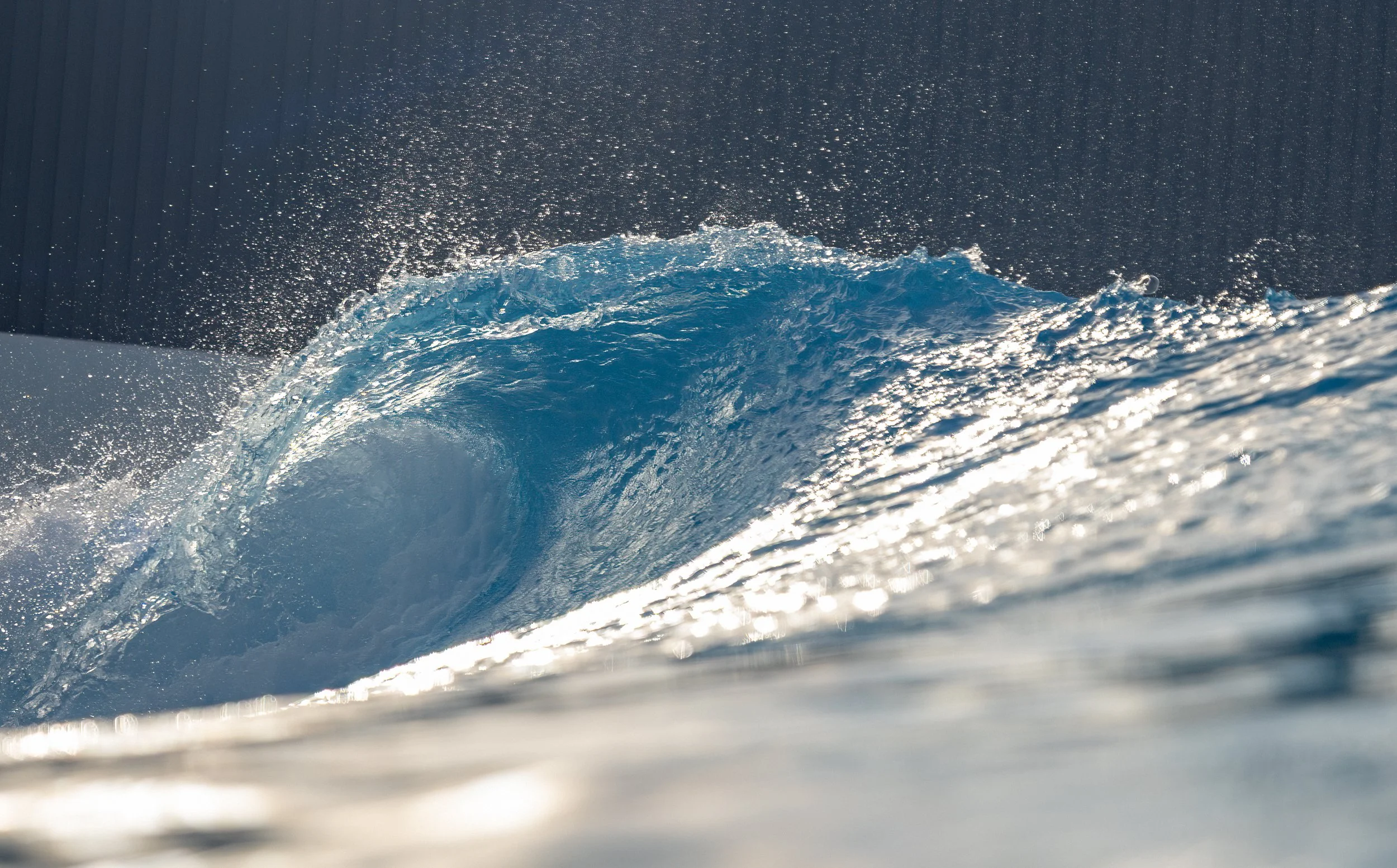 1X5A7680-Edit.jpg
