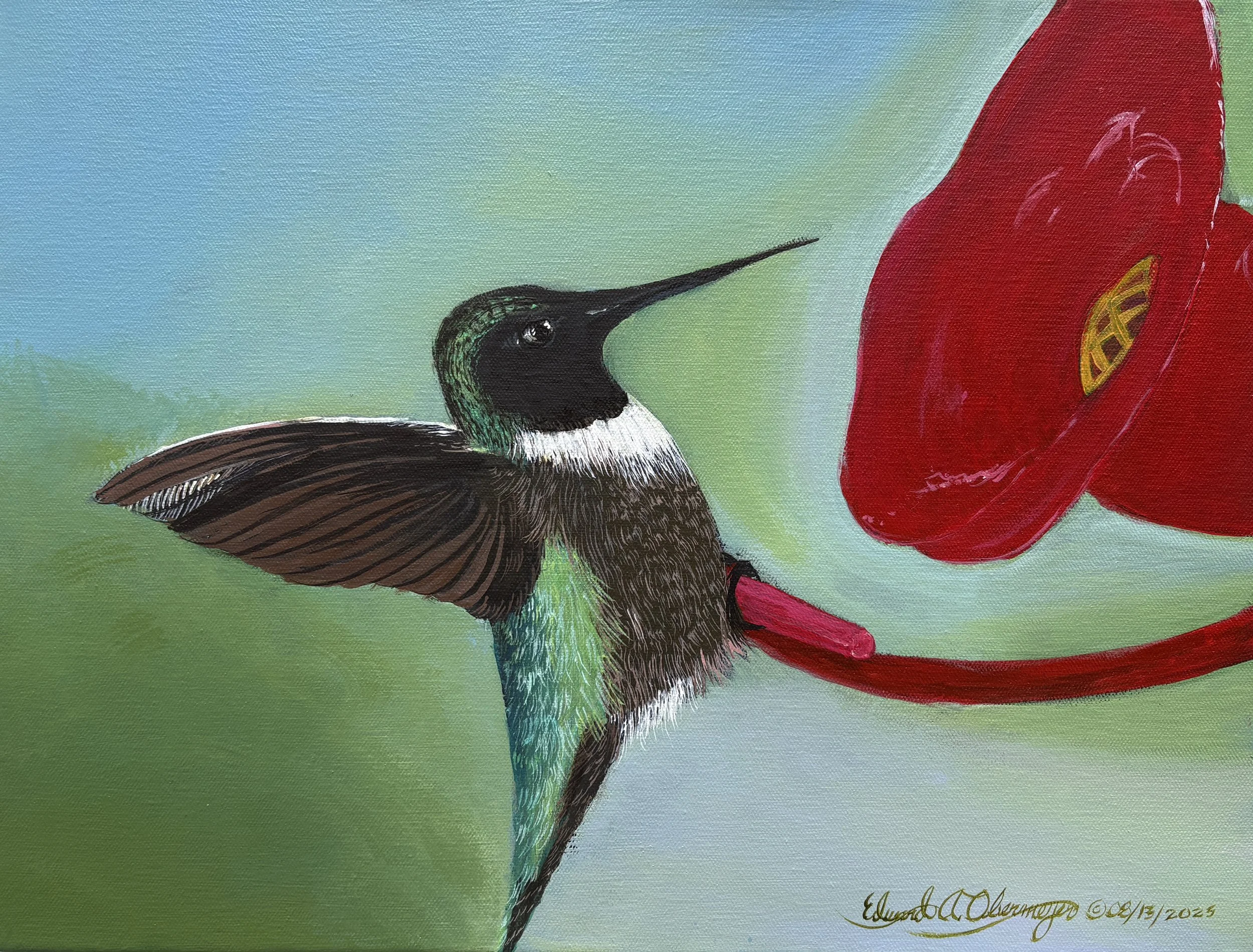 Hummer © 08/13/2025