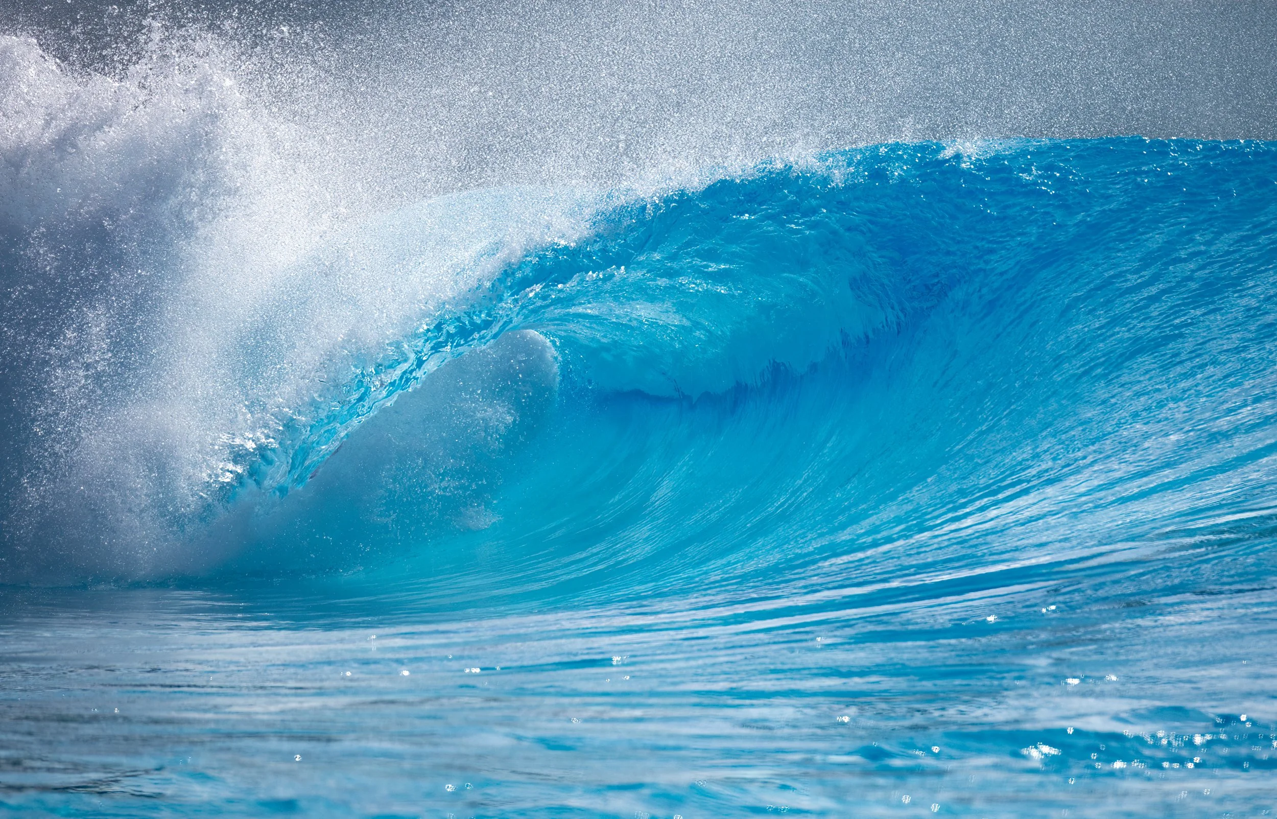 8L2A7625-Edit.jpg