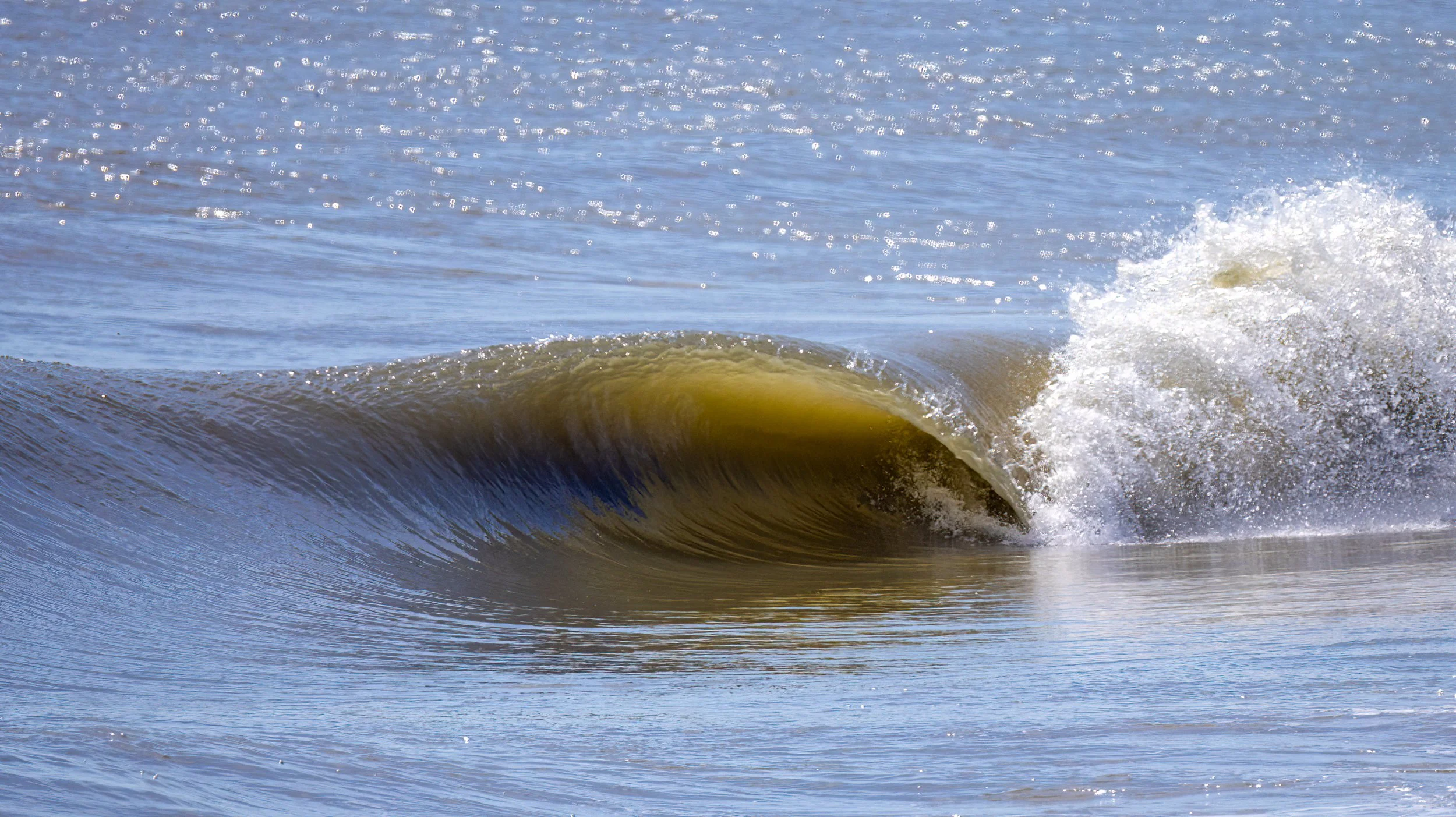 1X5A3381-Edit.jpg