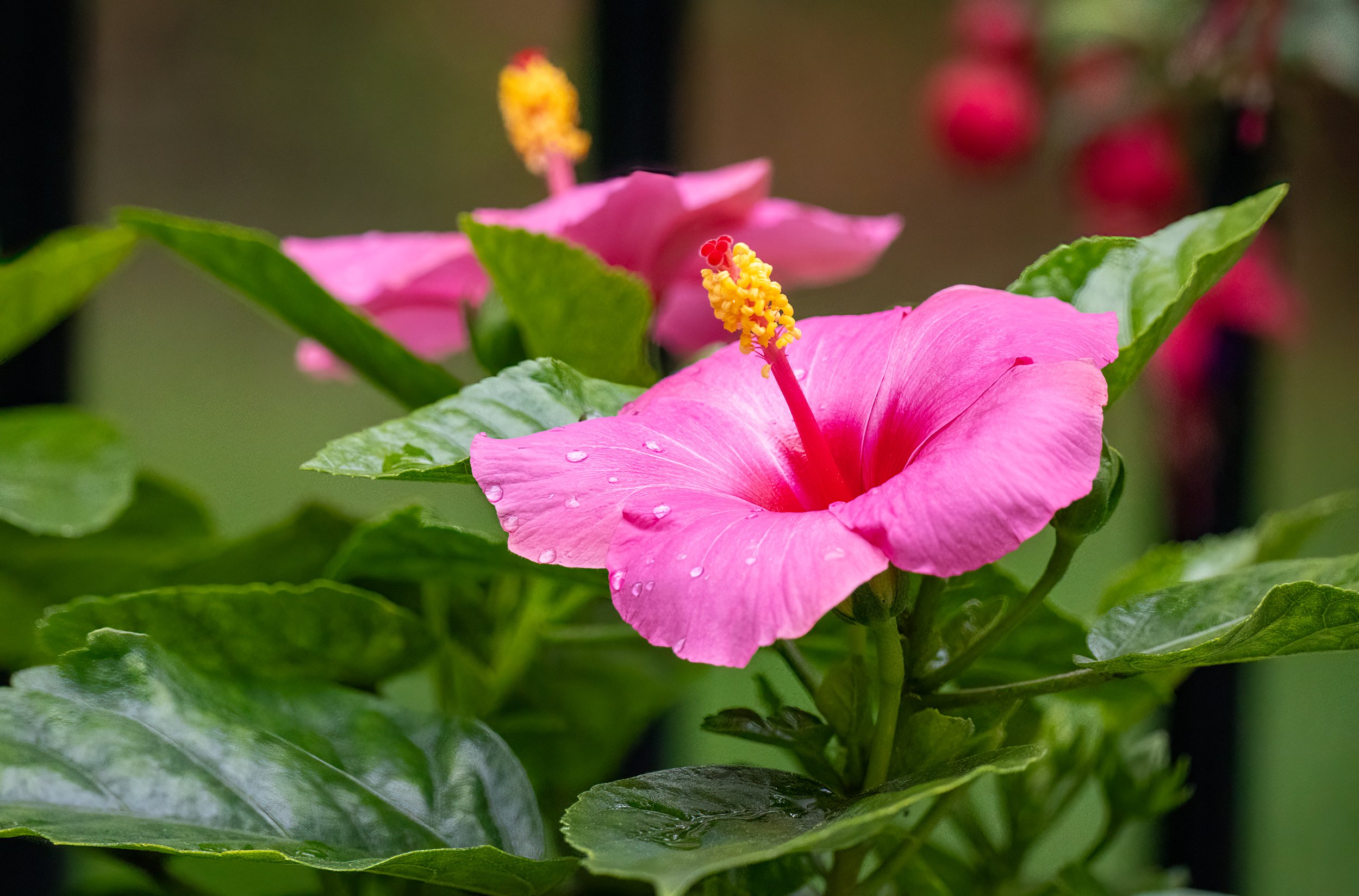 1X5A4403-Edit.jpg
