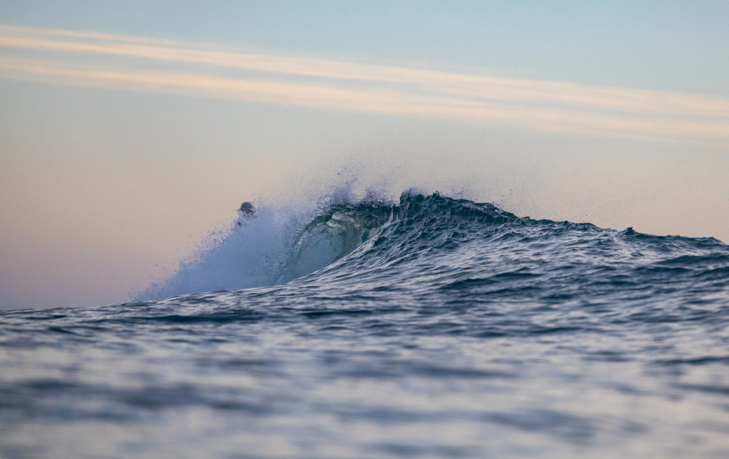 8L2A2181.jpg