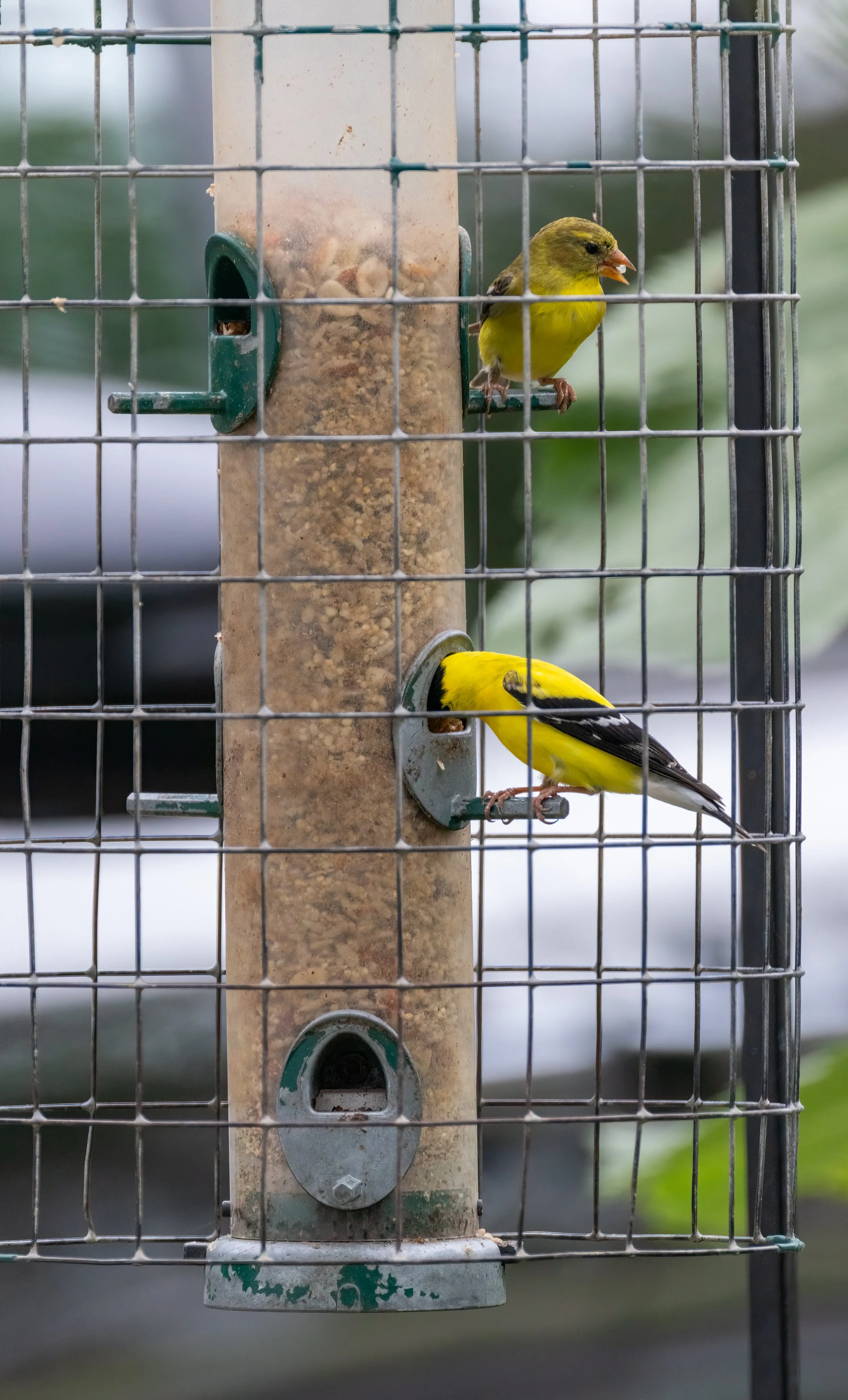 6H5A1563-Edit.jpg