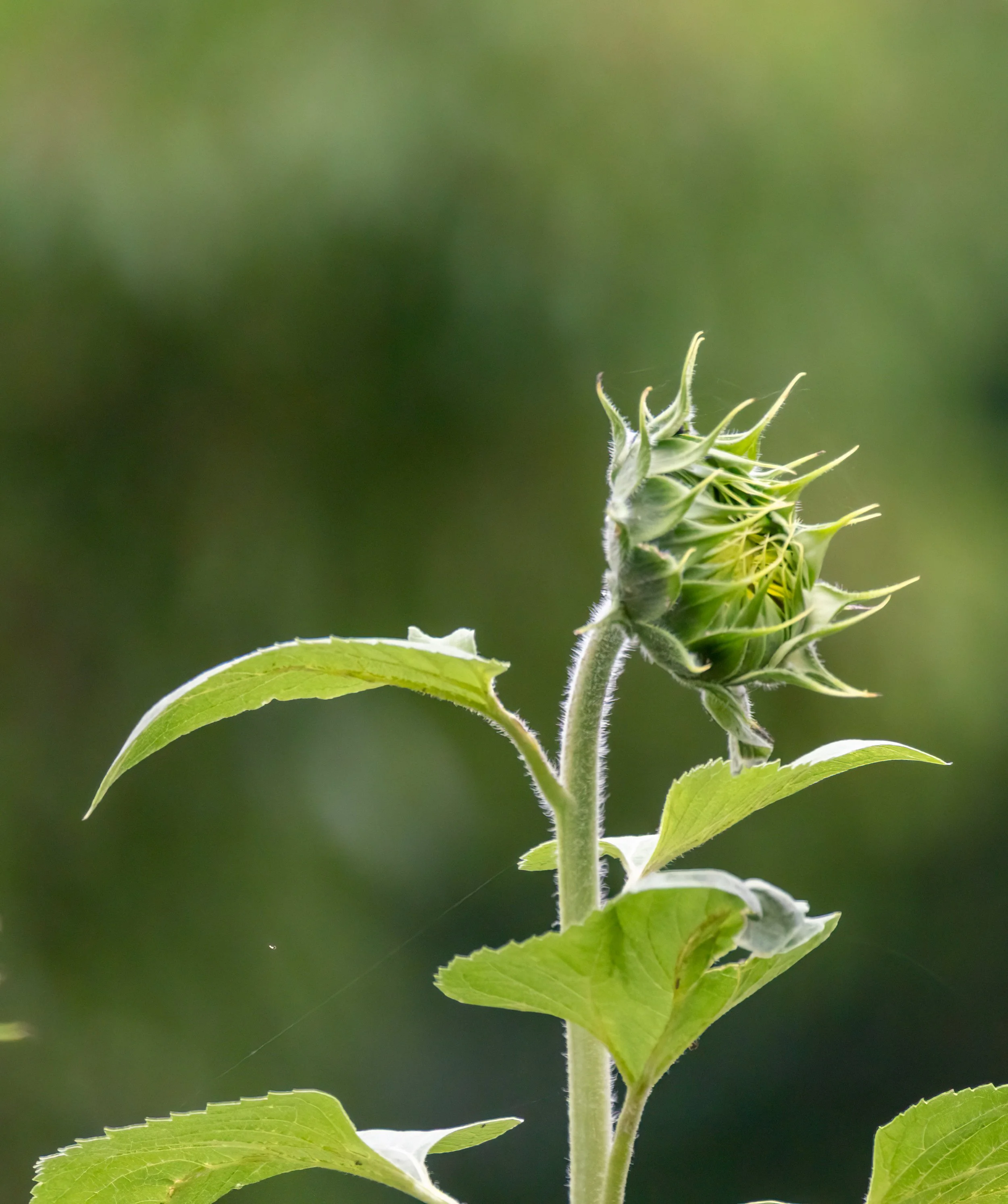 6H5A1574-Edit.jpg