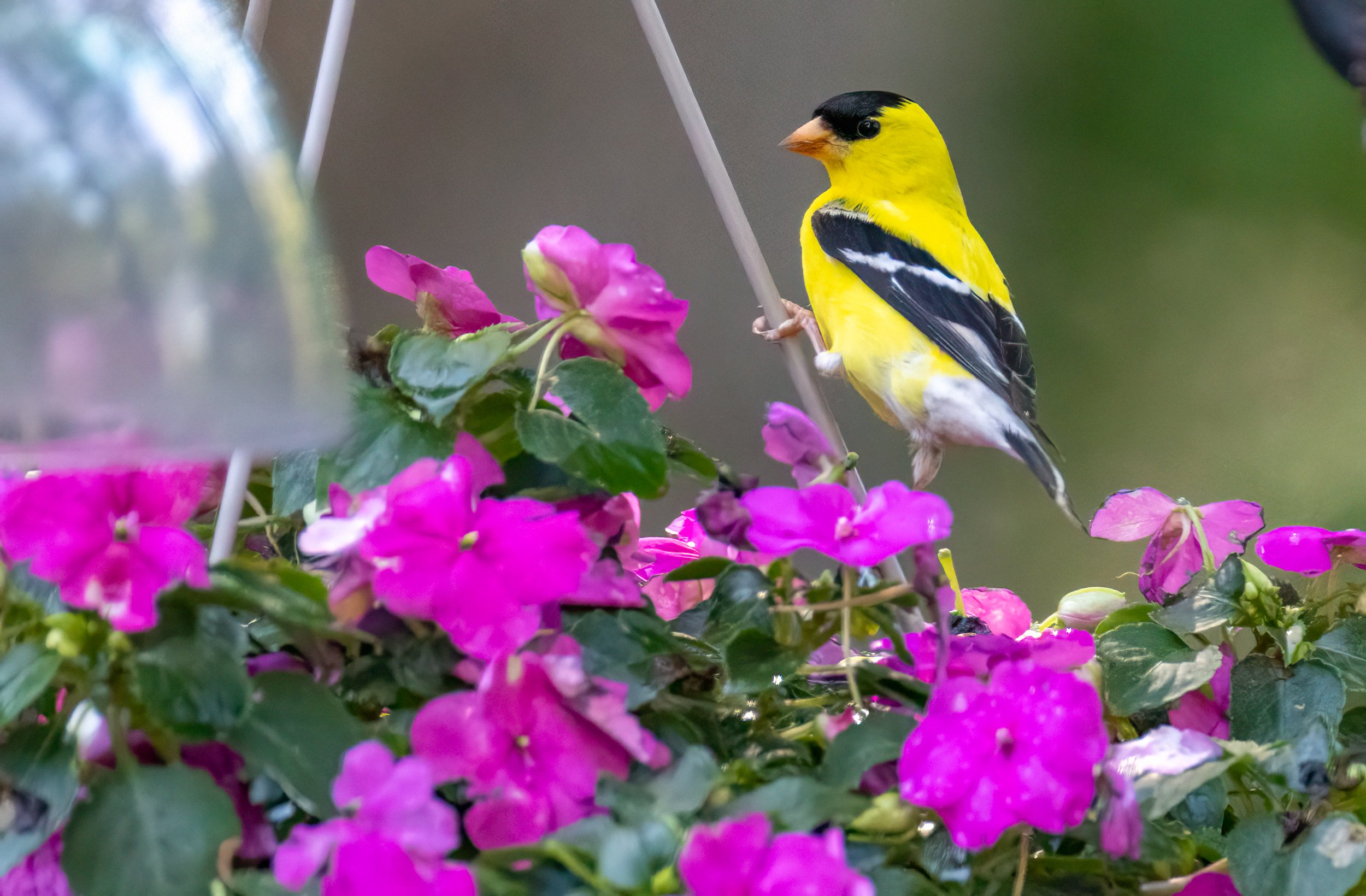 6H5A1648-Edit.jpg