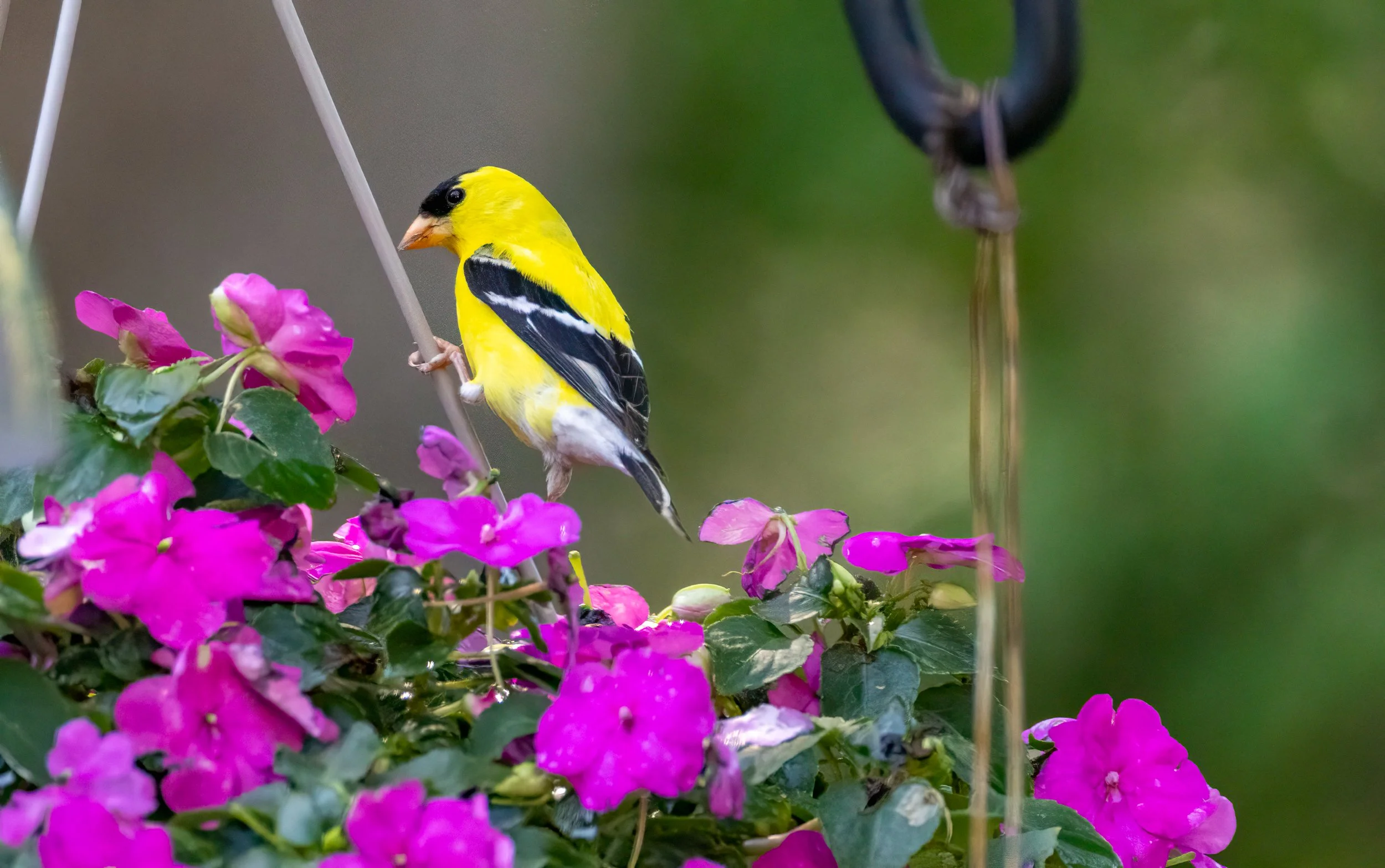 6H5A1649-Edit.jpg
