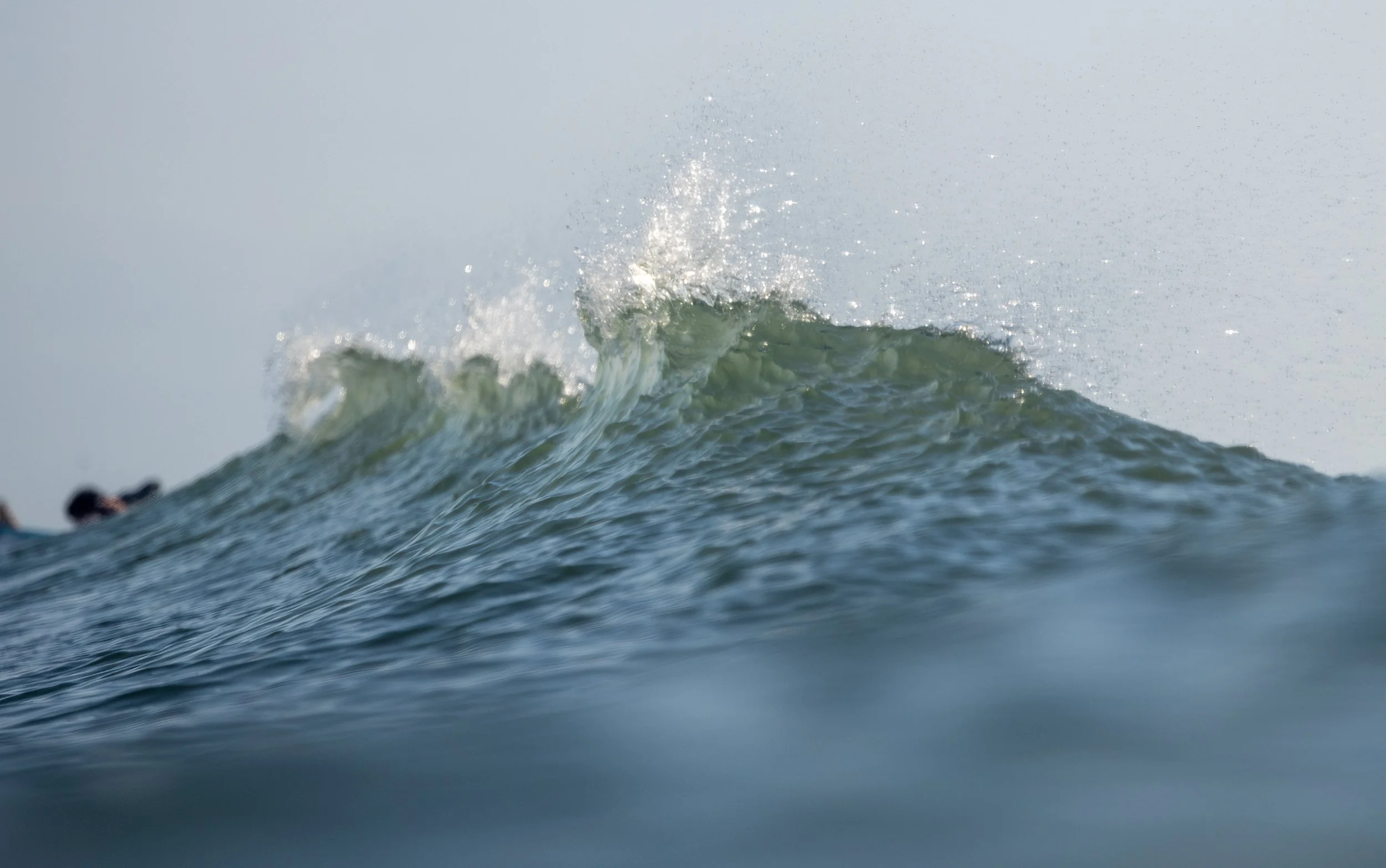 1X5A8695-Edit.jpg