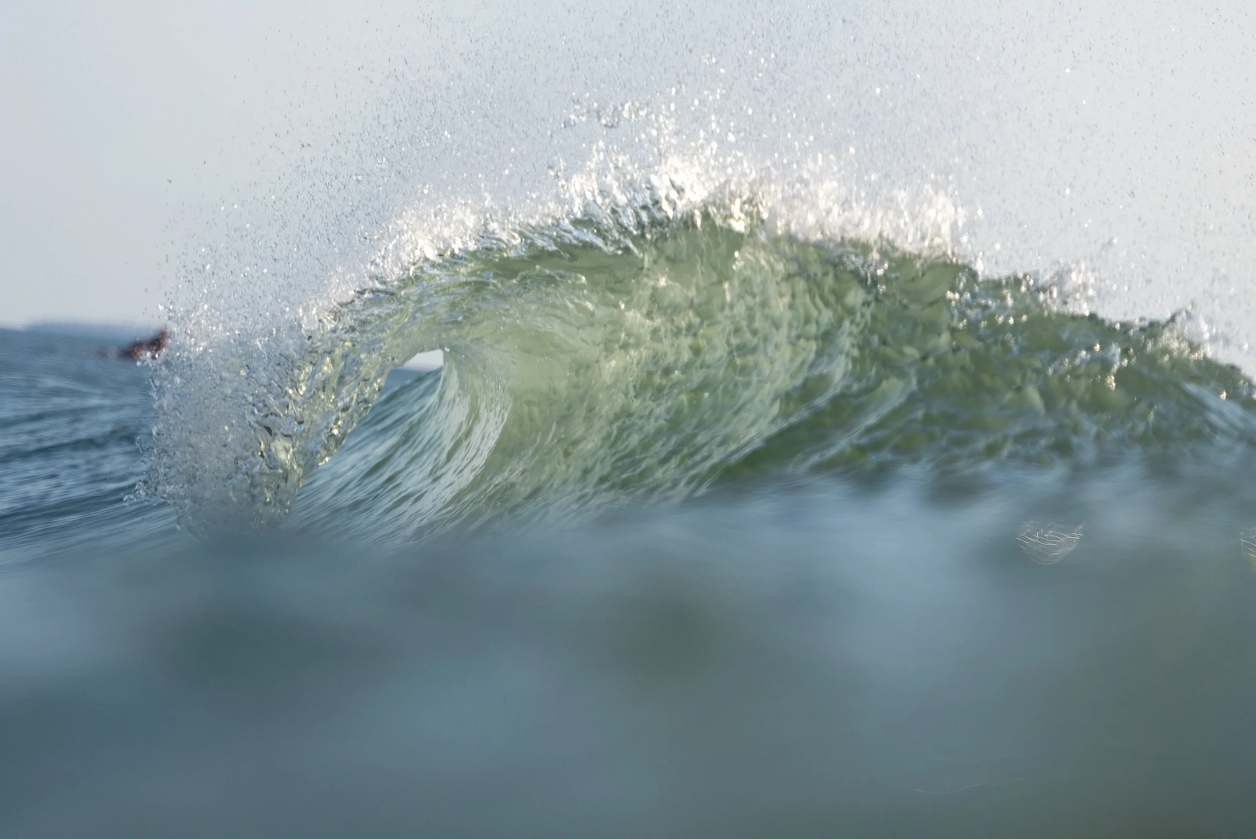 1X5A8884-Edit.jpg
