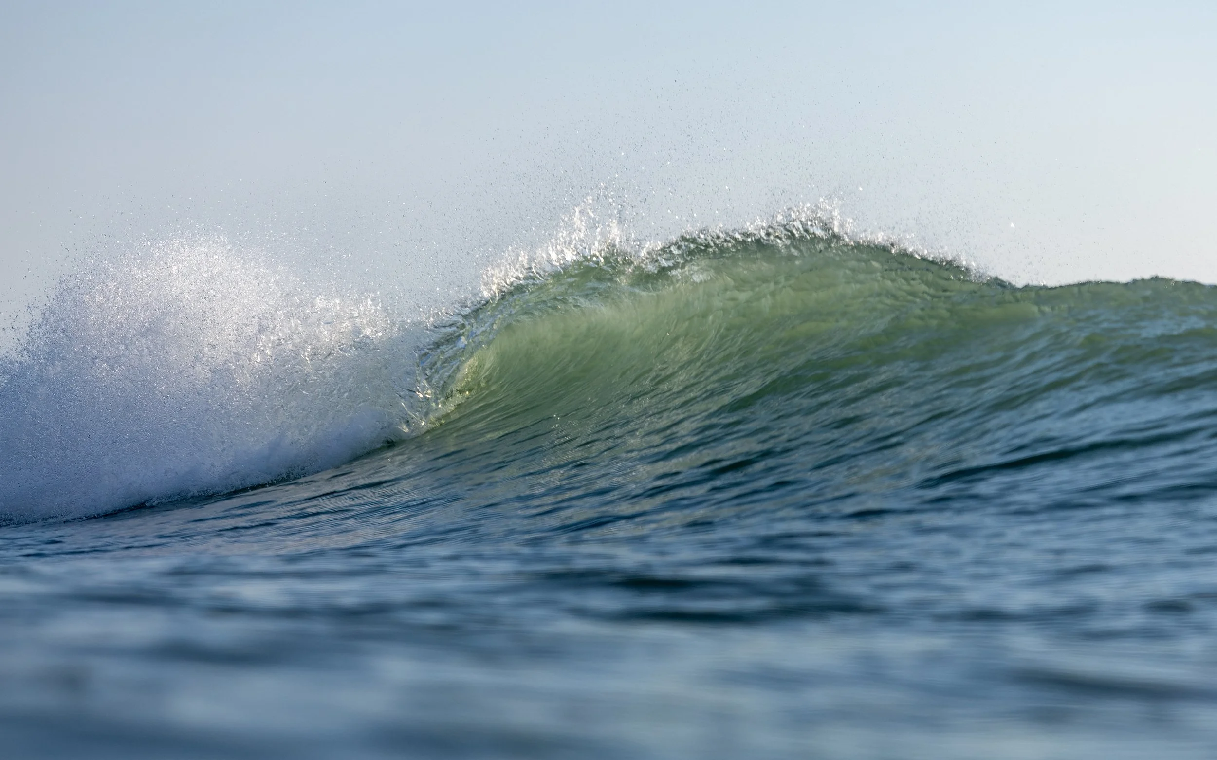 1X5A8890-Edit.jpg