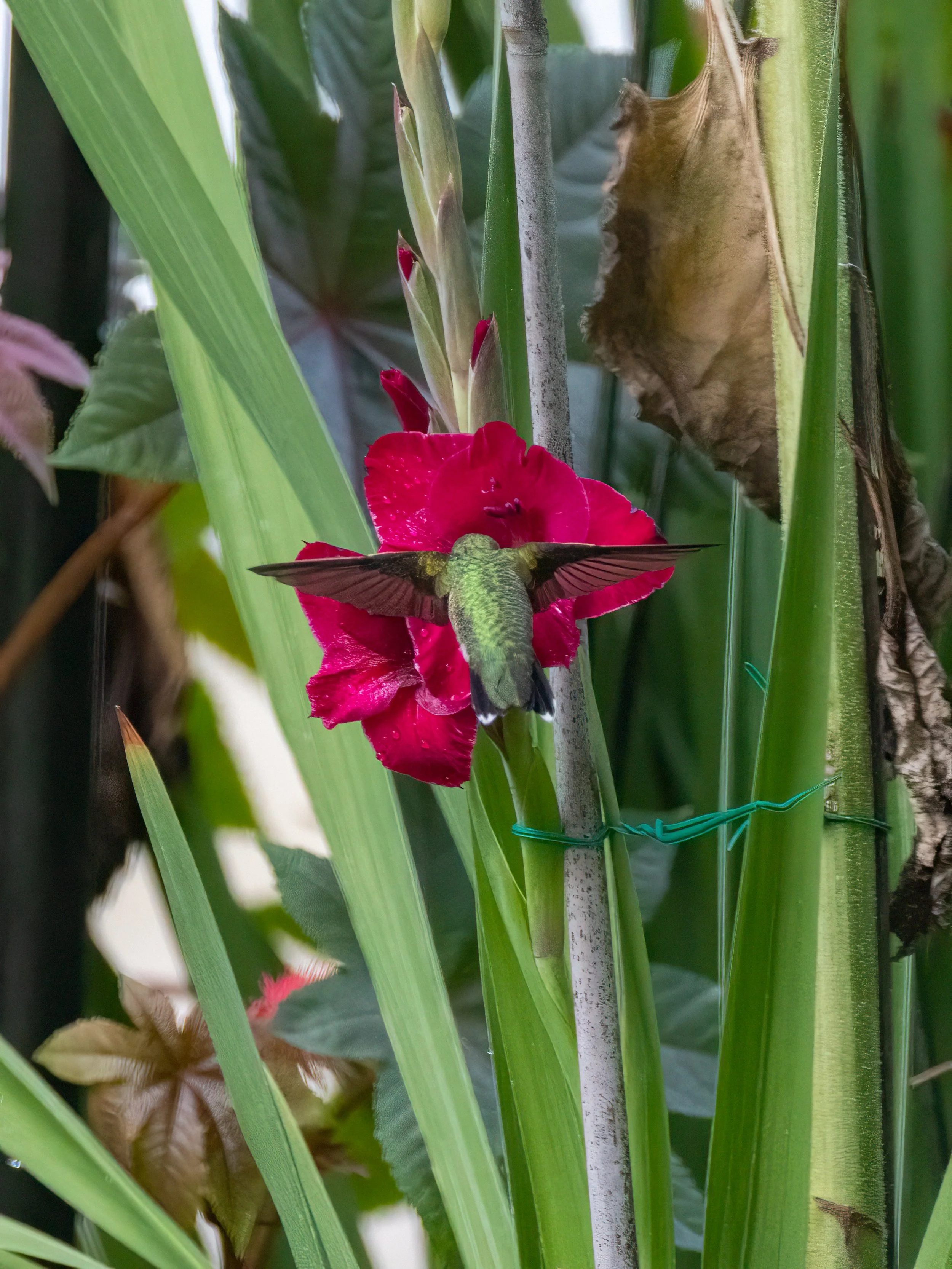 6H5A2222-Edit.jpg