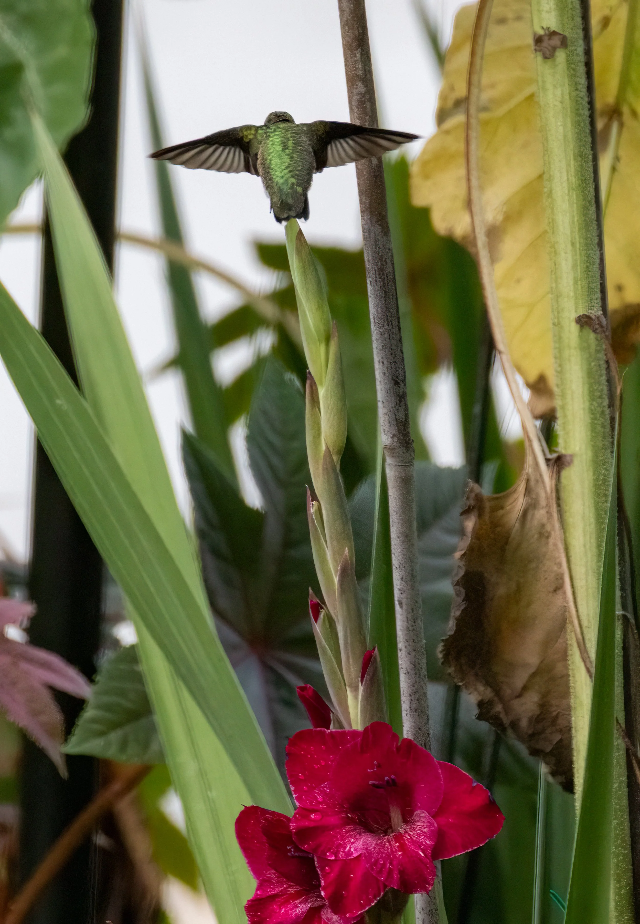 6H5A2236-Edit.jpg