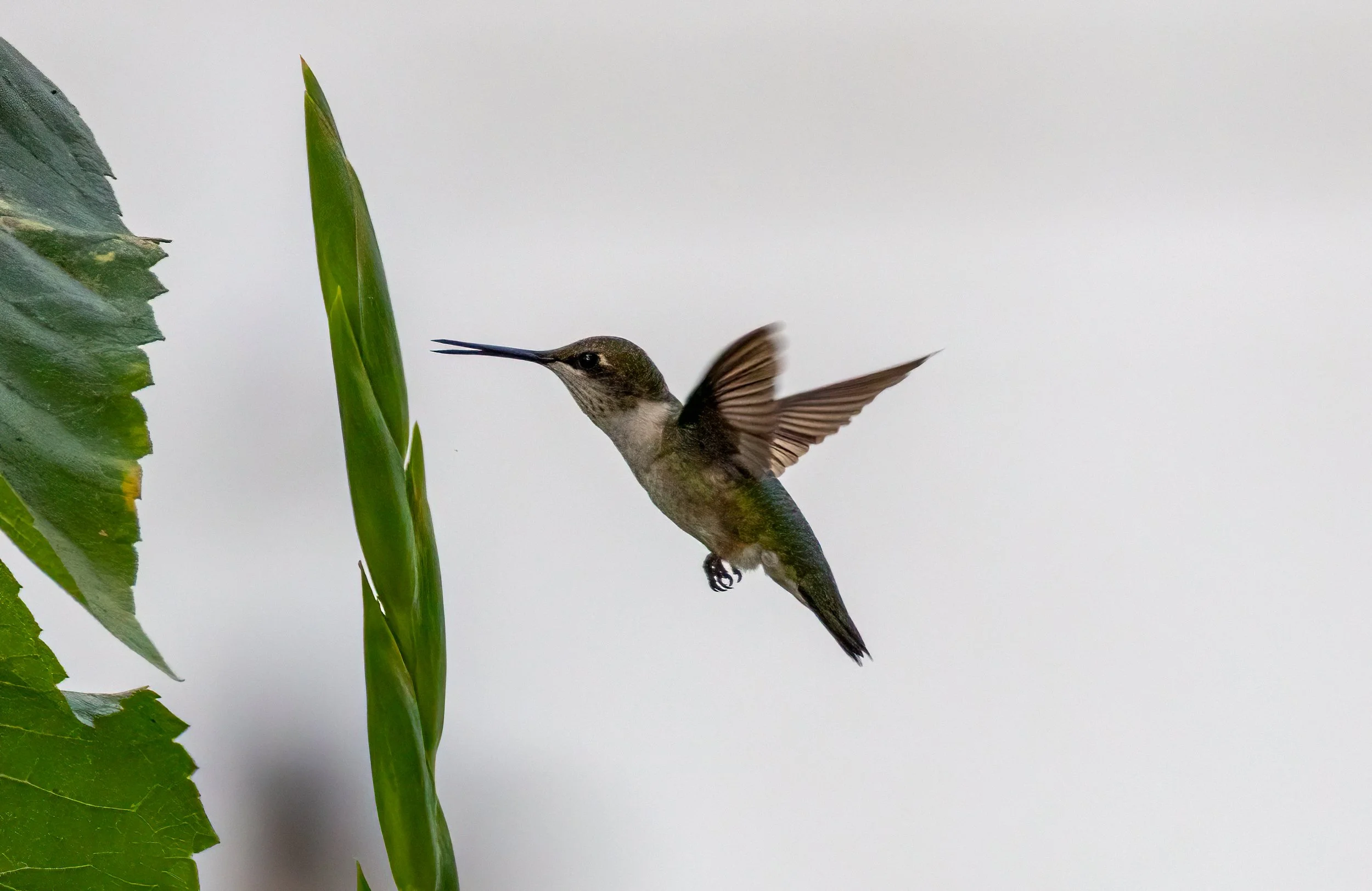 6H5A2241-Edit.jpg