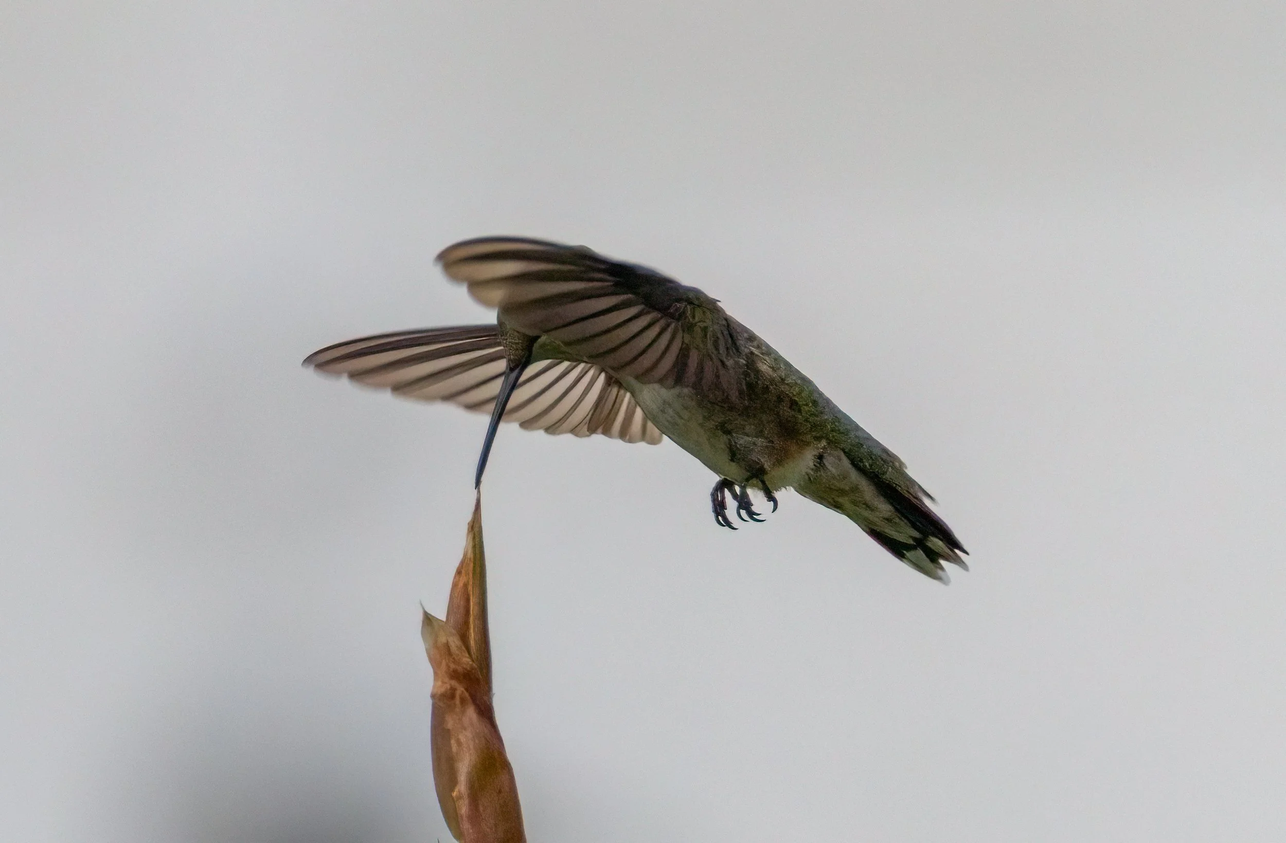6H5A2285-Edit.jpg