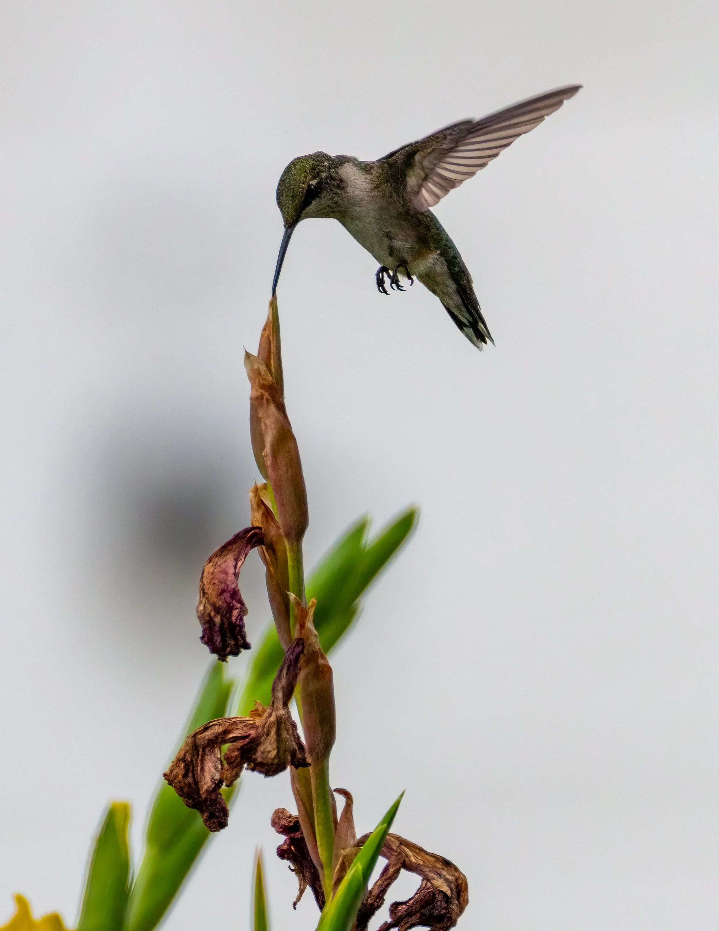 6H5A2286-Edit.jpg