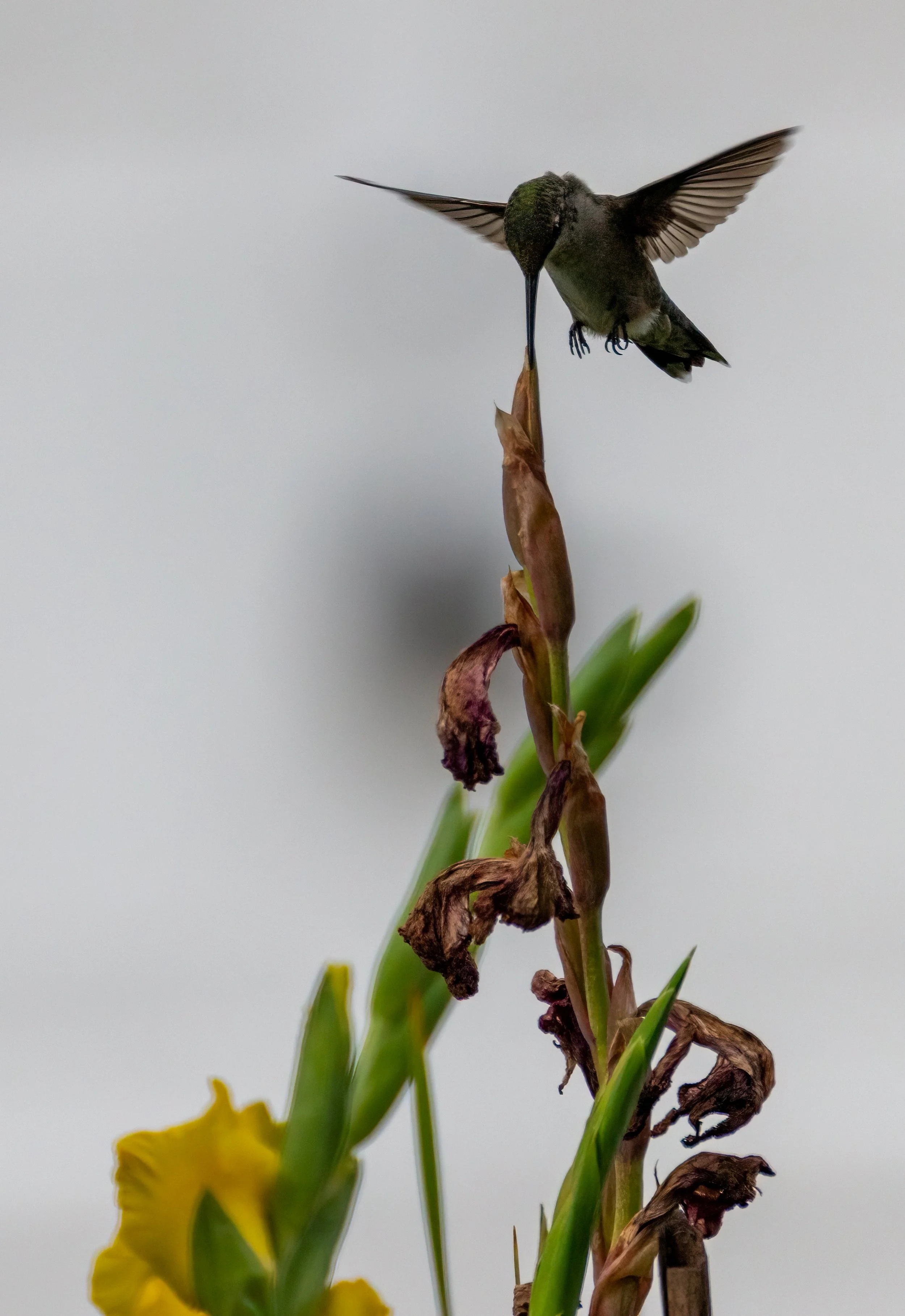 6H5A2292-Edit.jpg