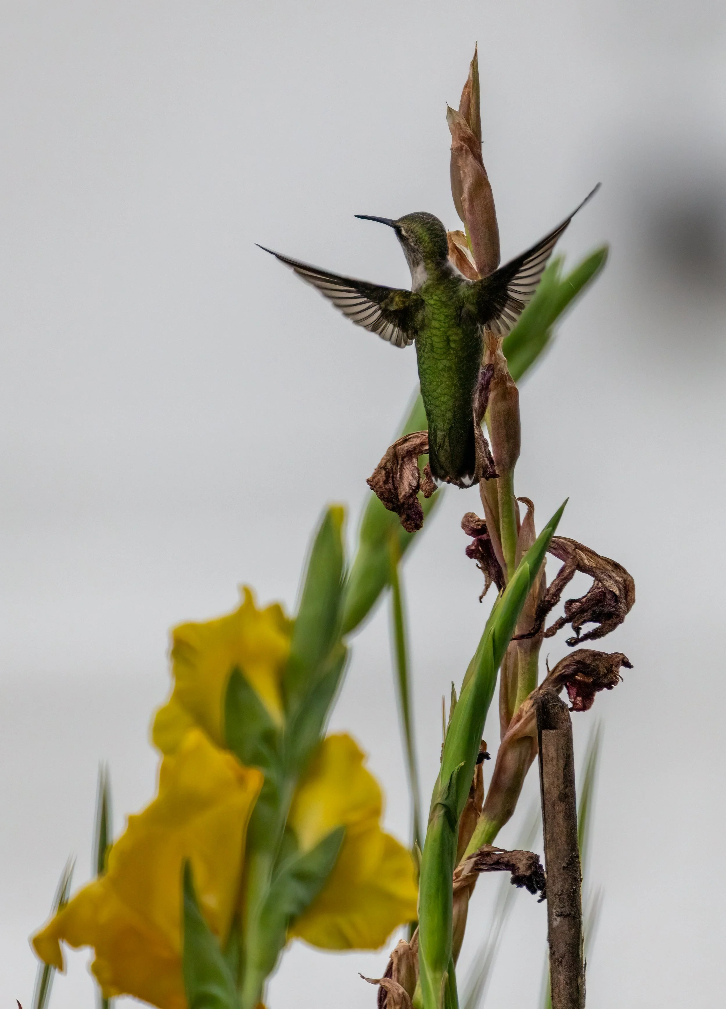 6H5A2315-Edit.jpg