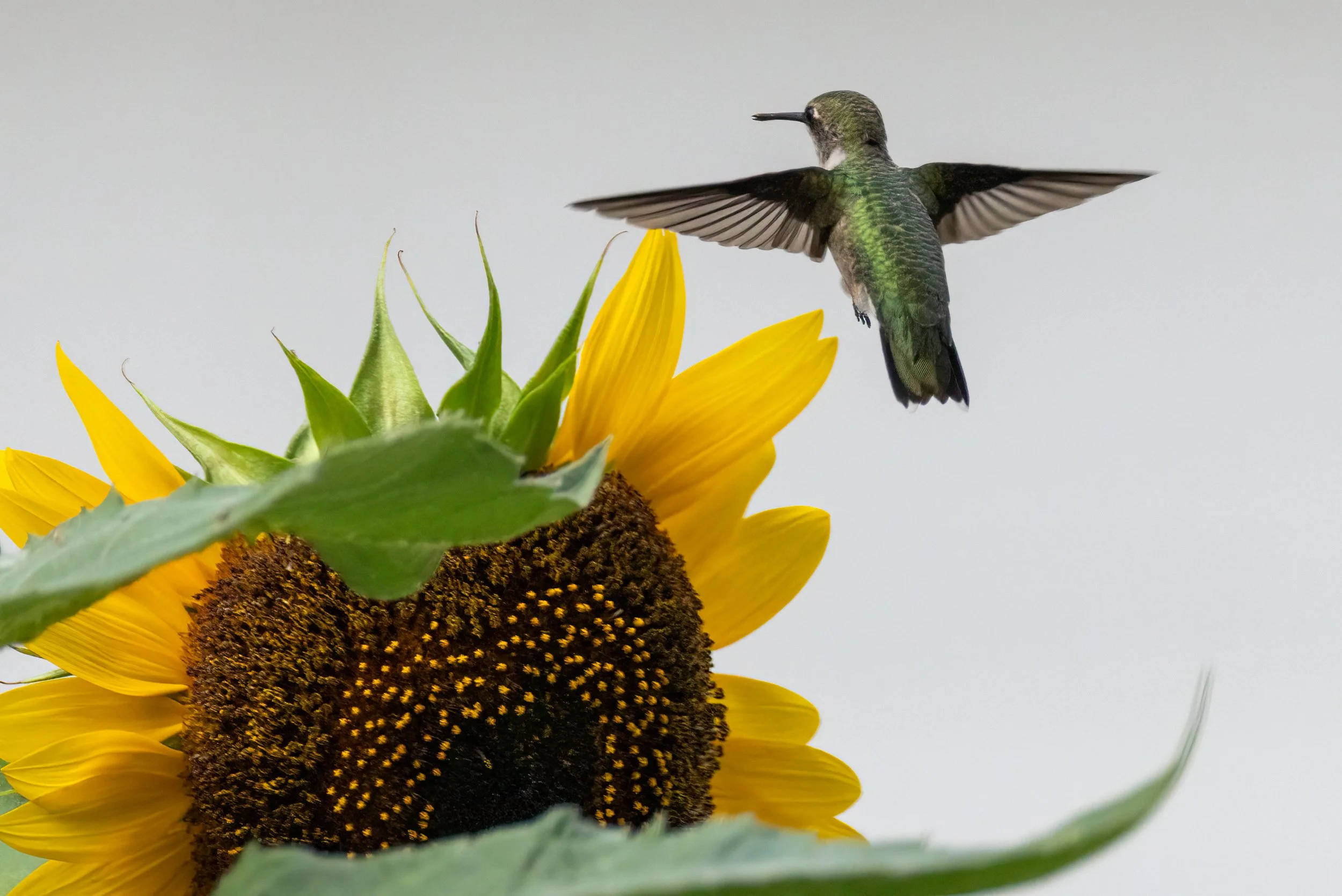 6H5A2352-Edit.jpg