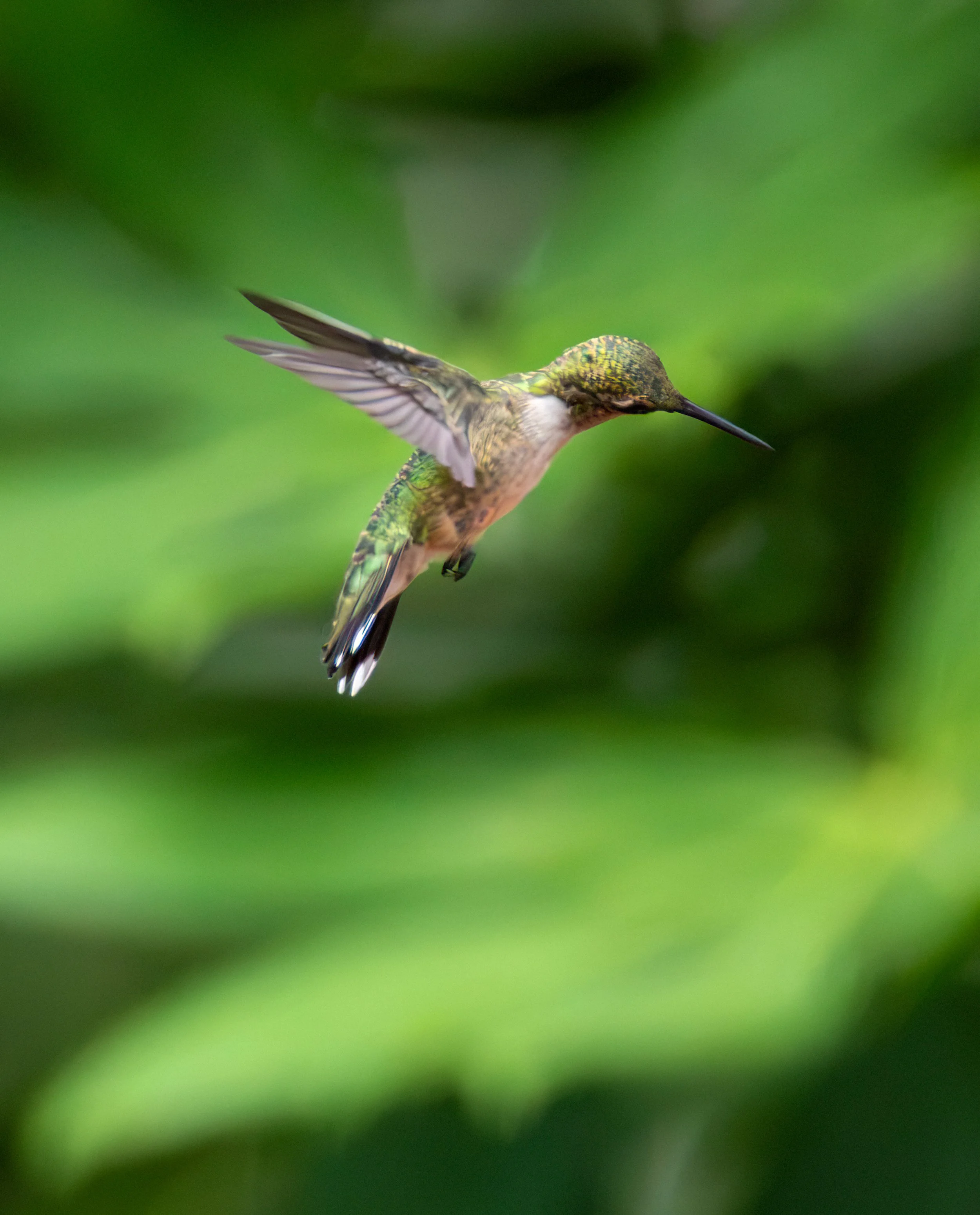 6H5A2534-Edit.jpg