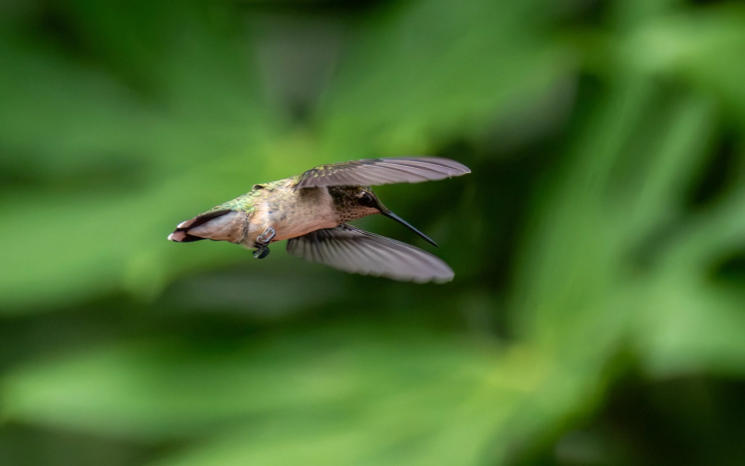 6H5A2544-Edit.jpg