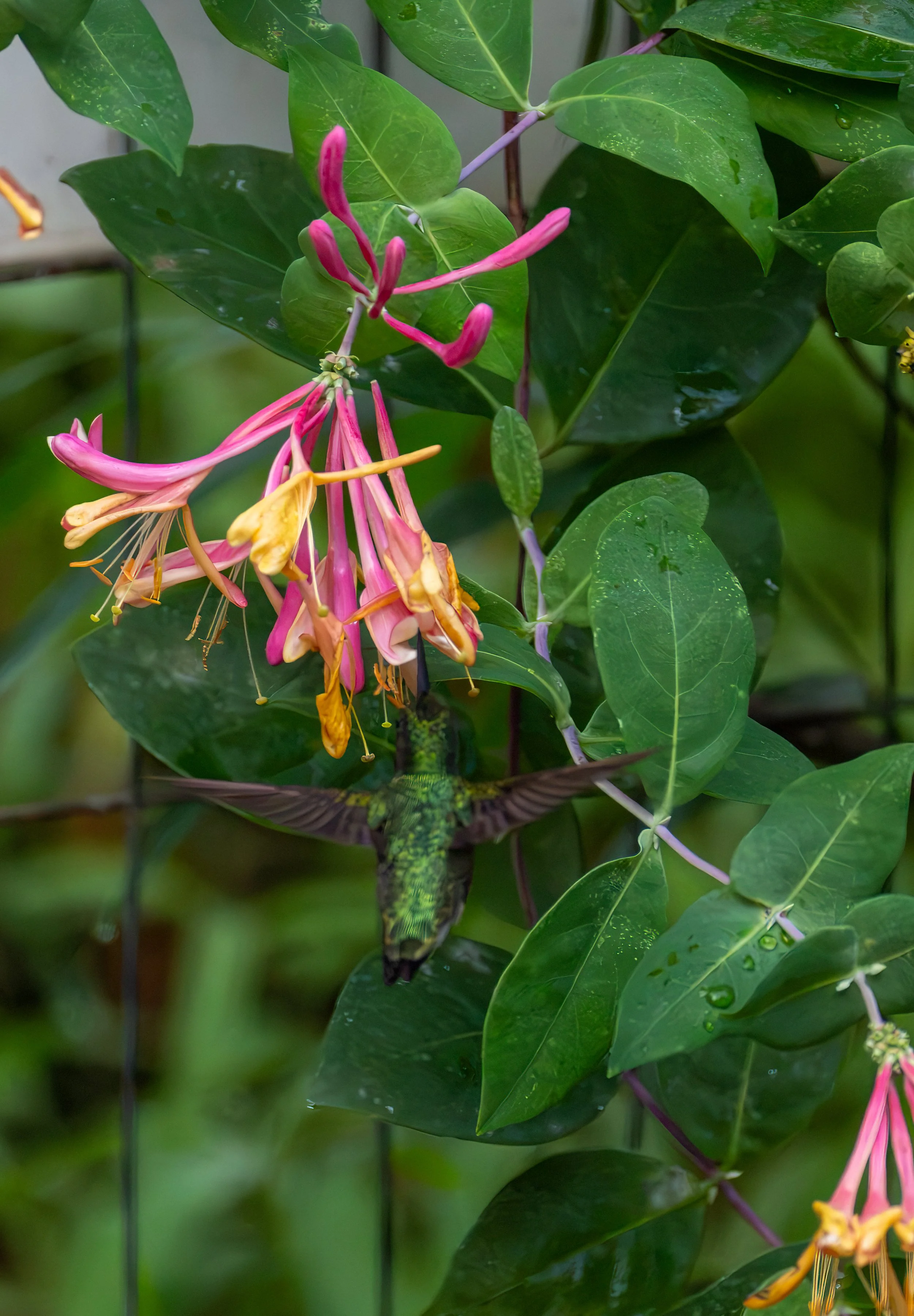 6H5A2882-Edit.jpg