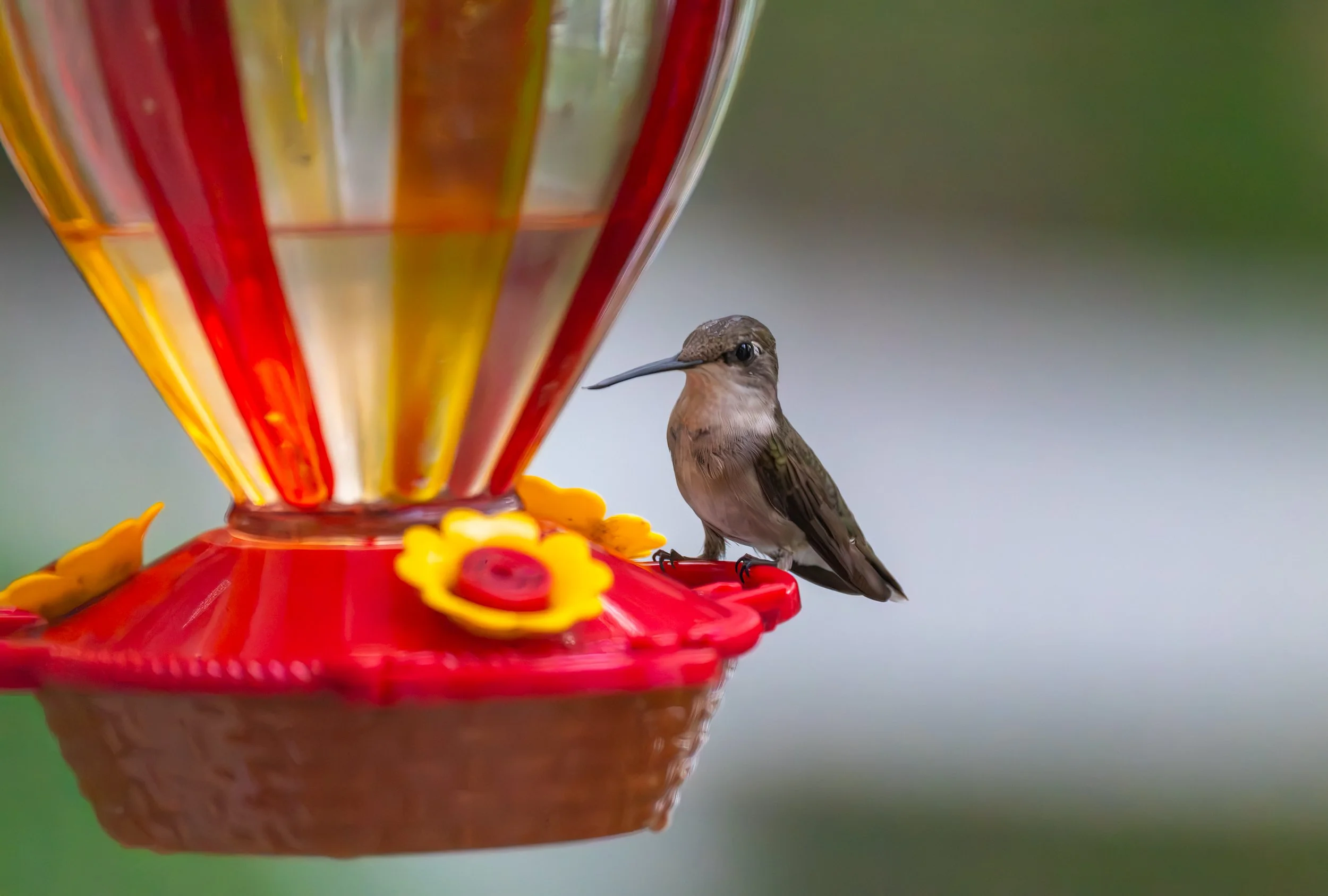 6H5A2954-Edit.jpg