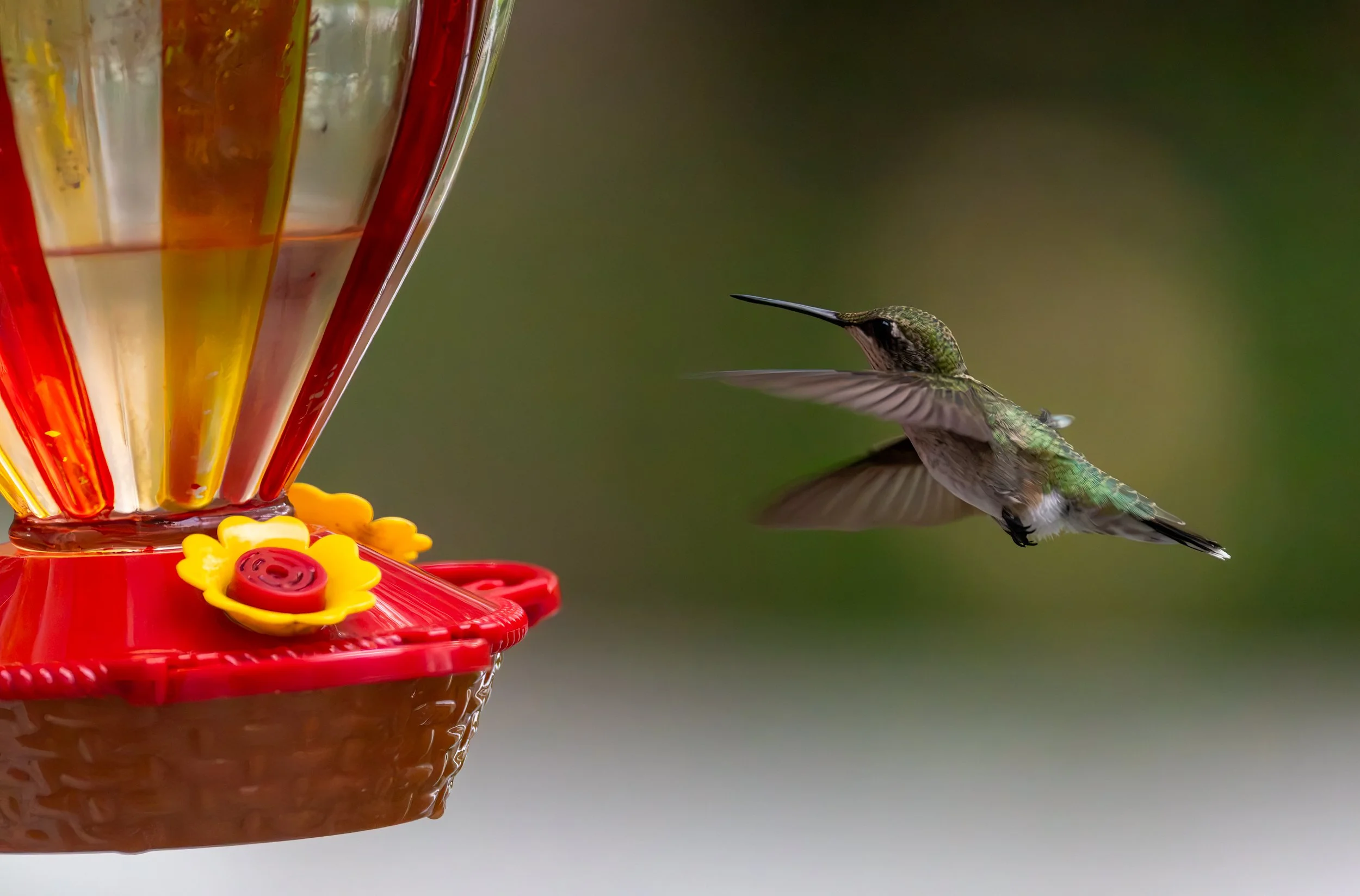 6H5A2969-Edit.jpg