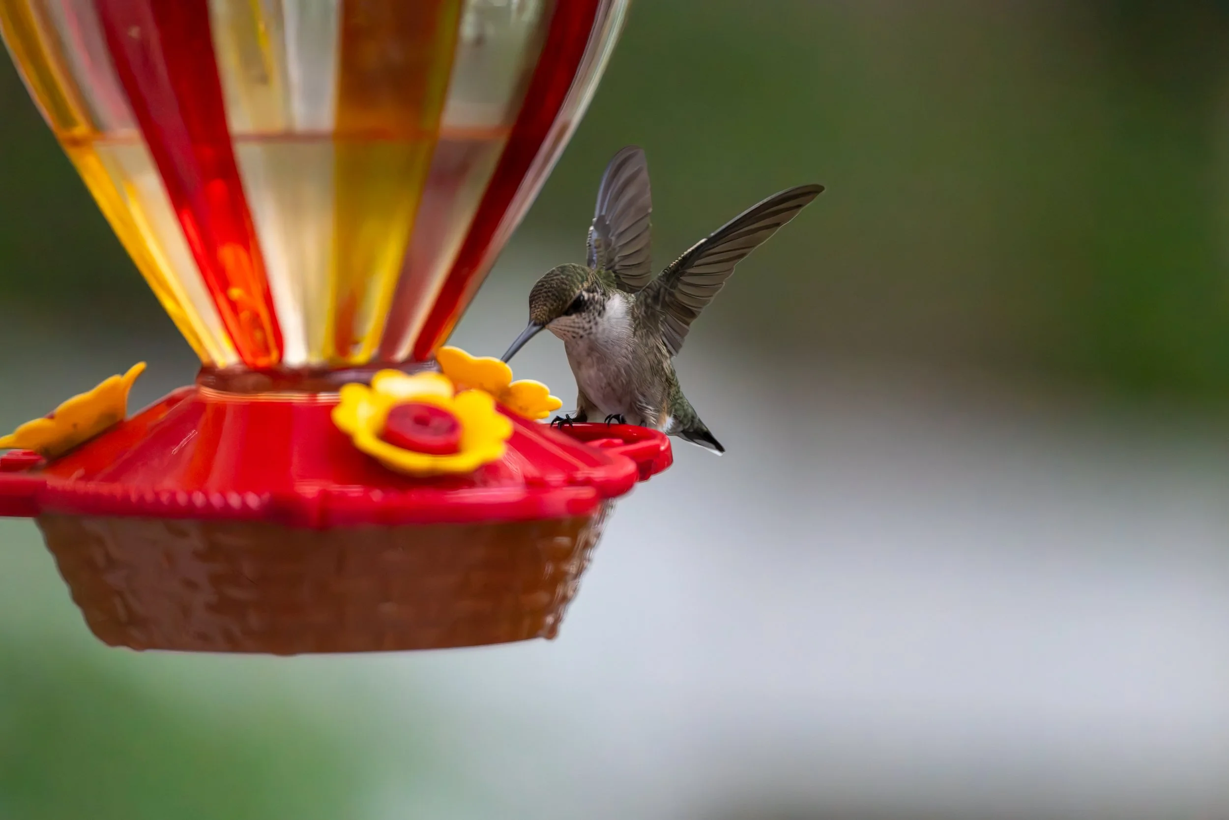 6H5A2981-Edit.jpg