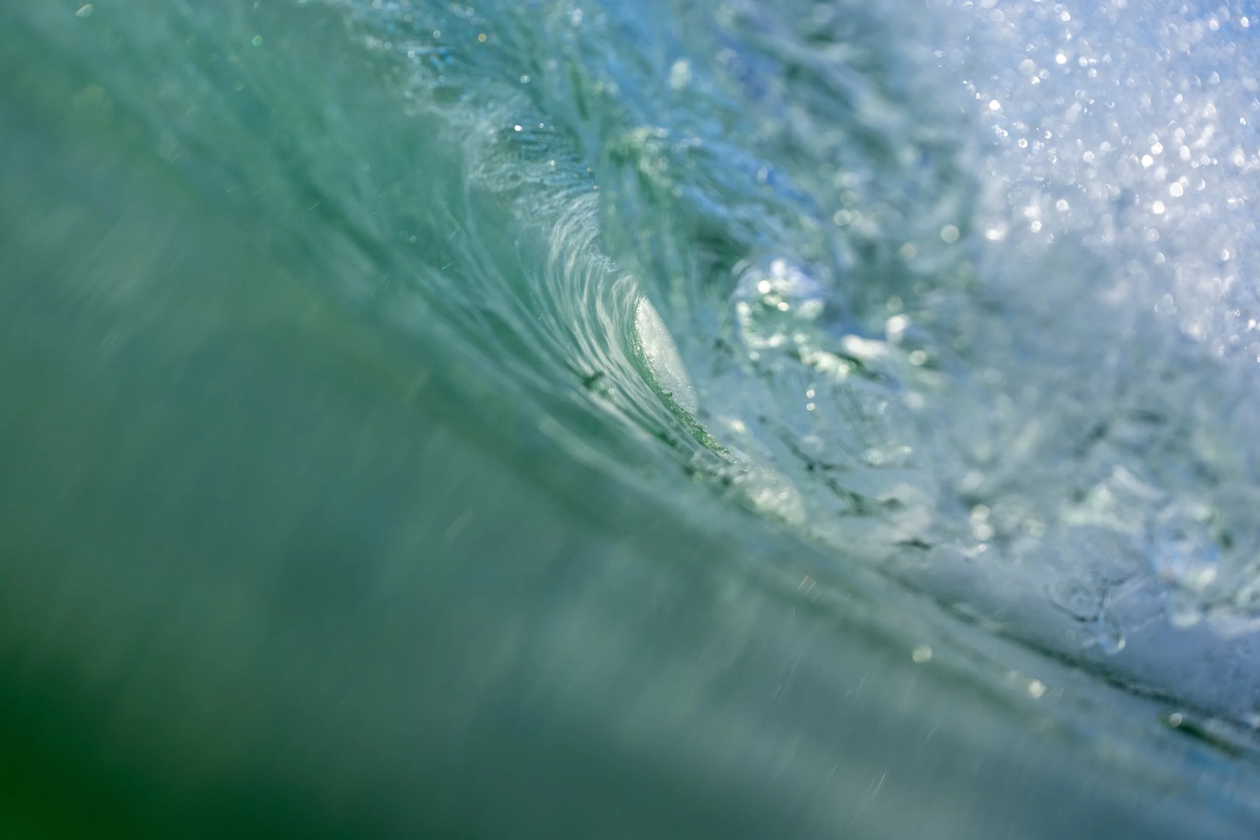 1X5A9587-Edit.jpg