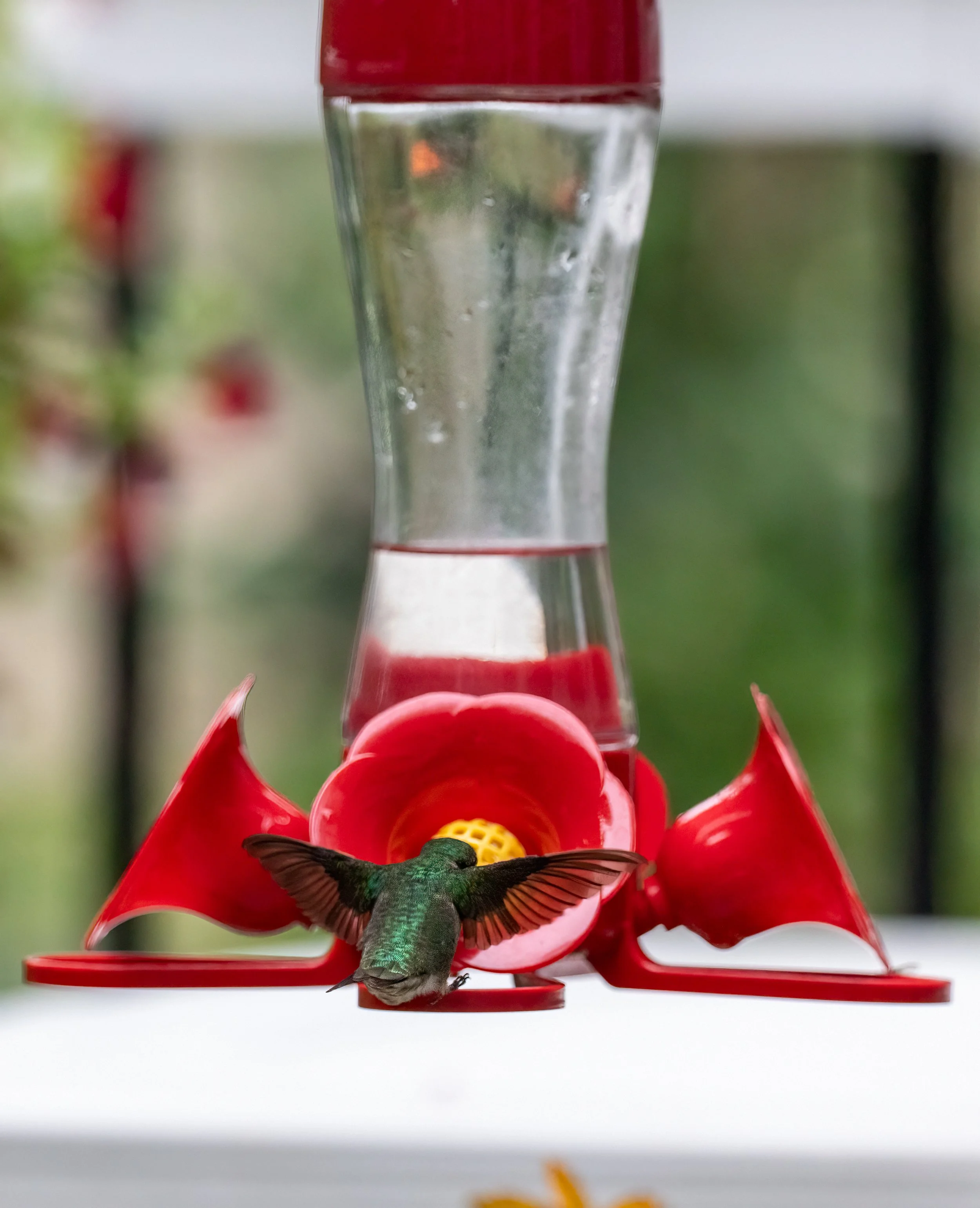 6H5A2991-Edit.jpg