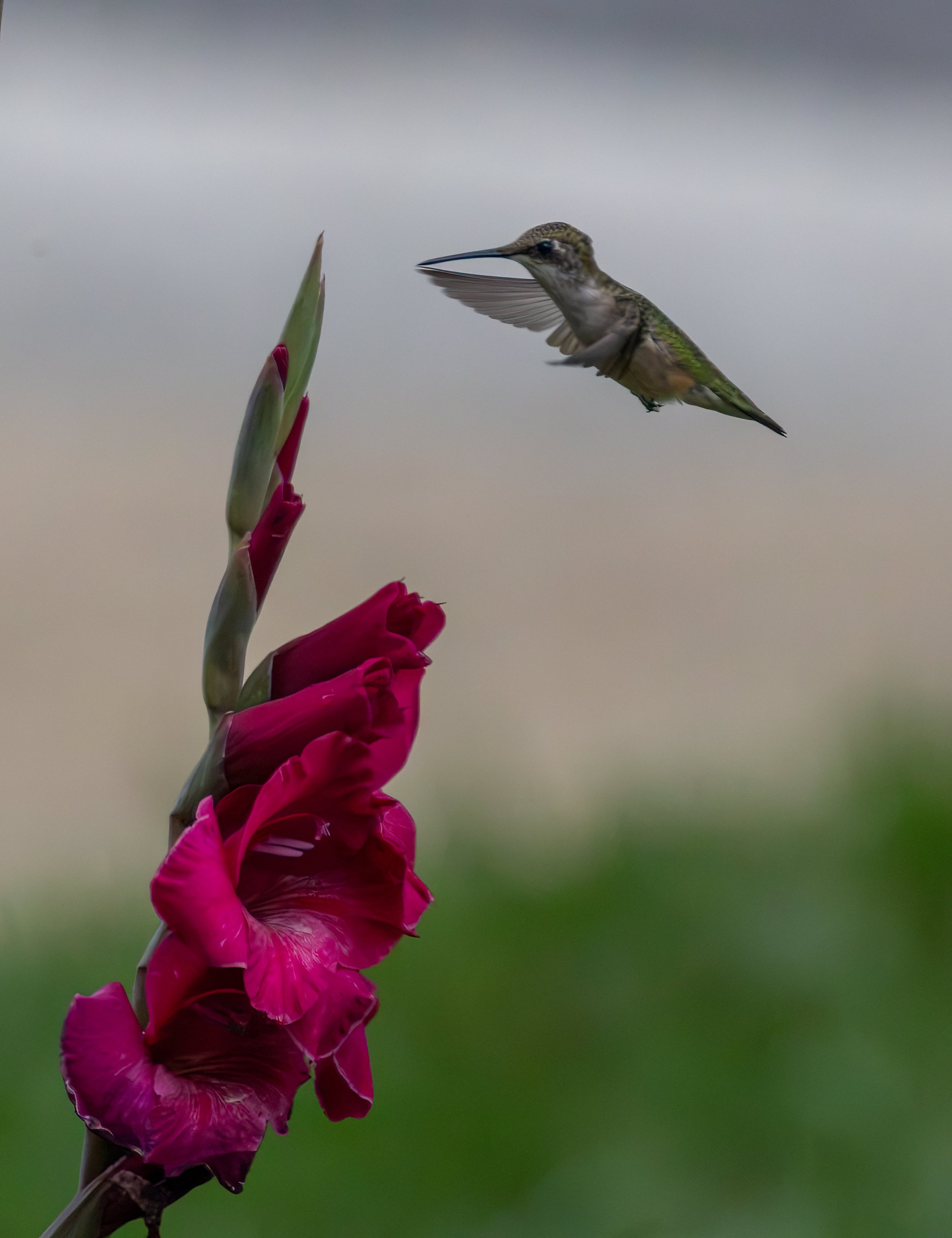 6H5A3175-Edit.jpg
