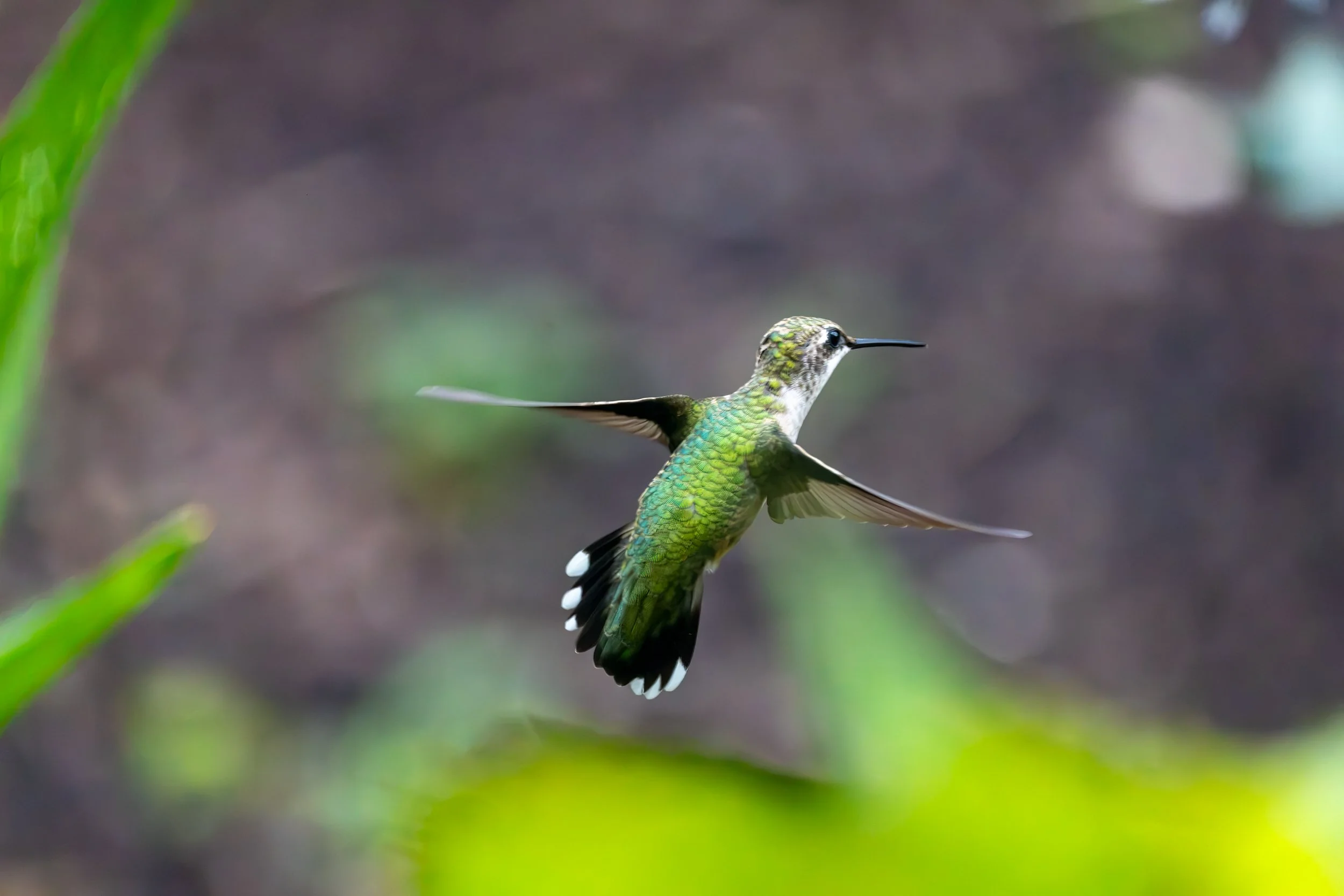 6H5A3212-Edit.jpg