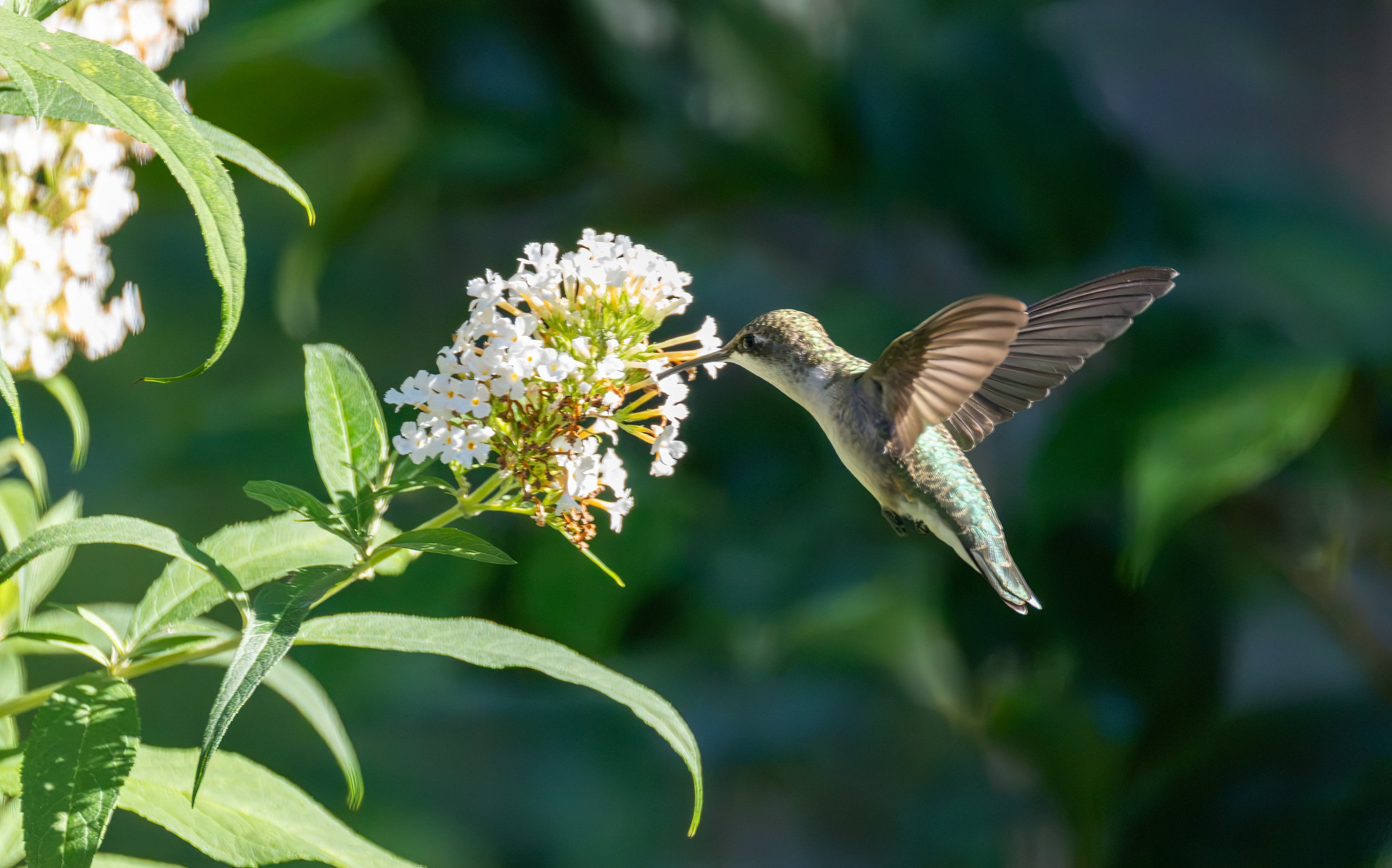 6H5A3359-Edit.jpg