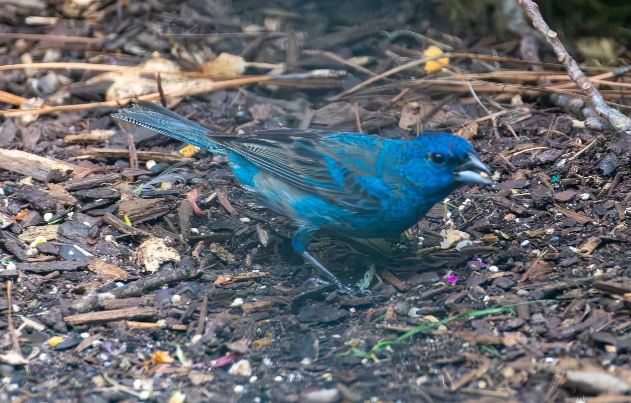 6H5A3553-Edit.jpg