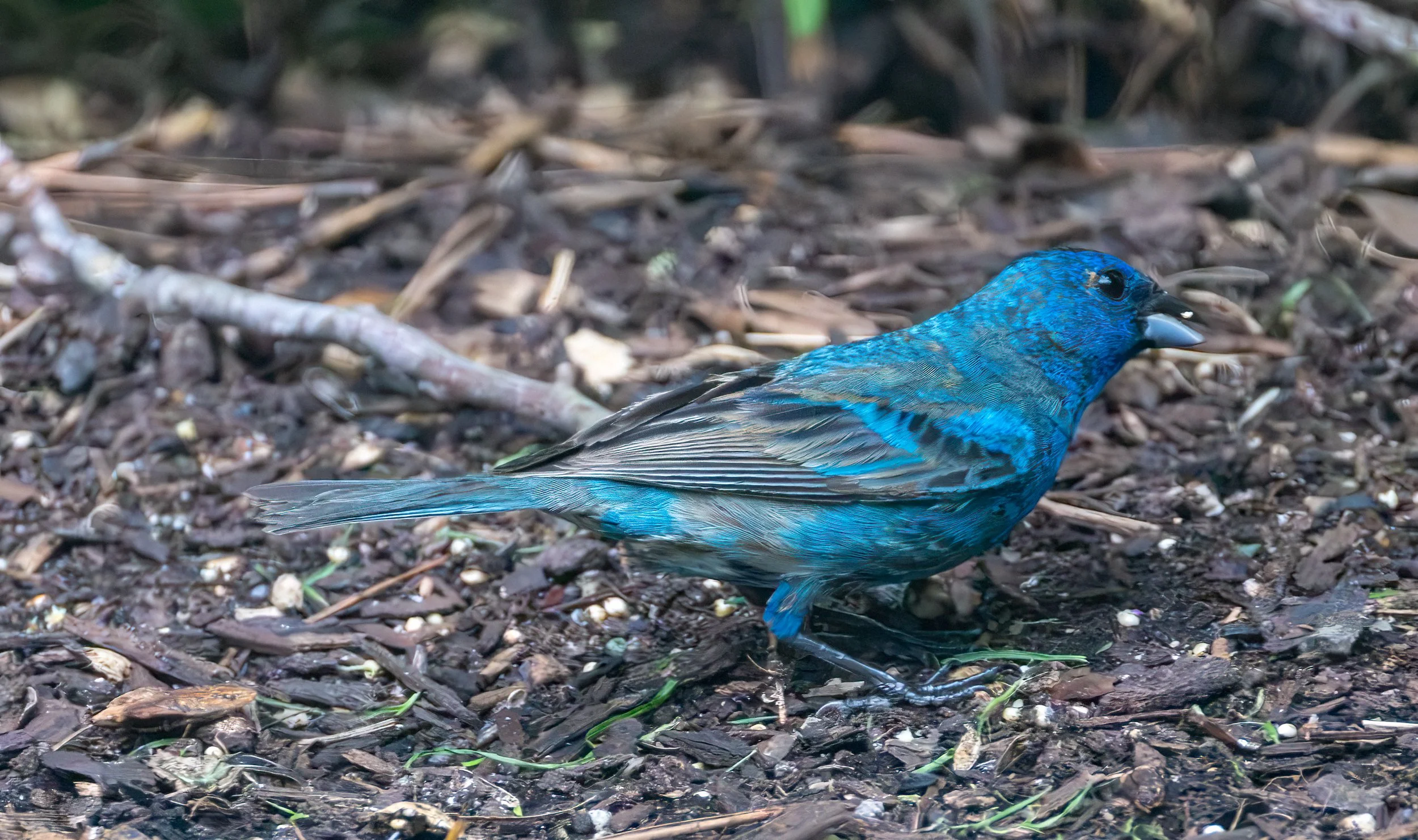 6H5A3558-Edit.jpg