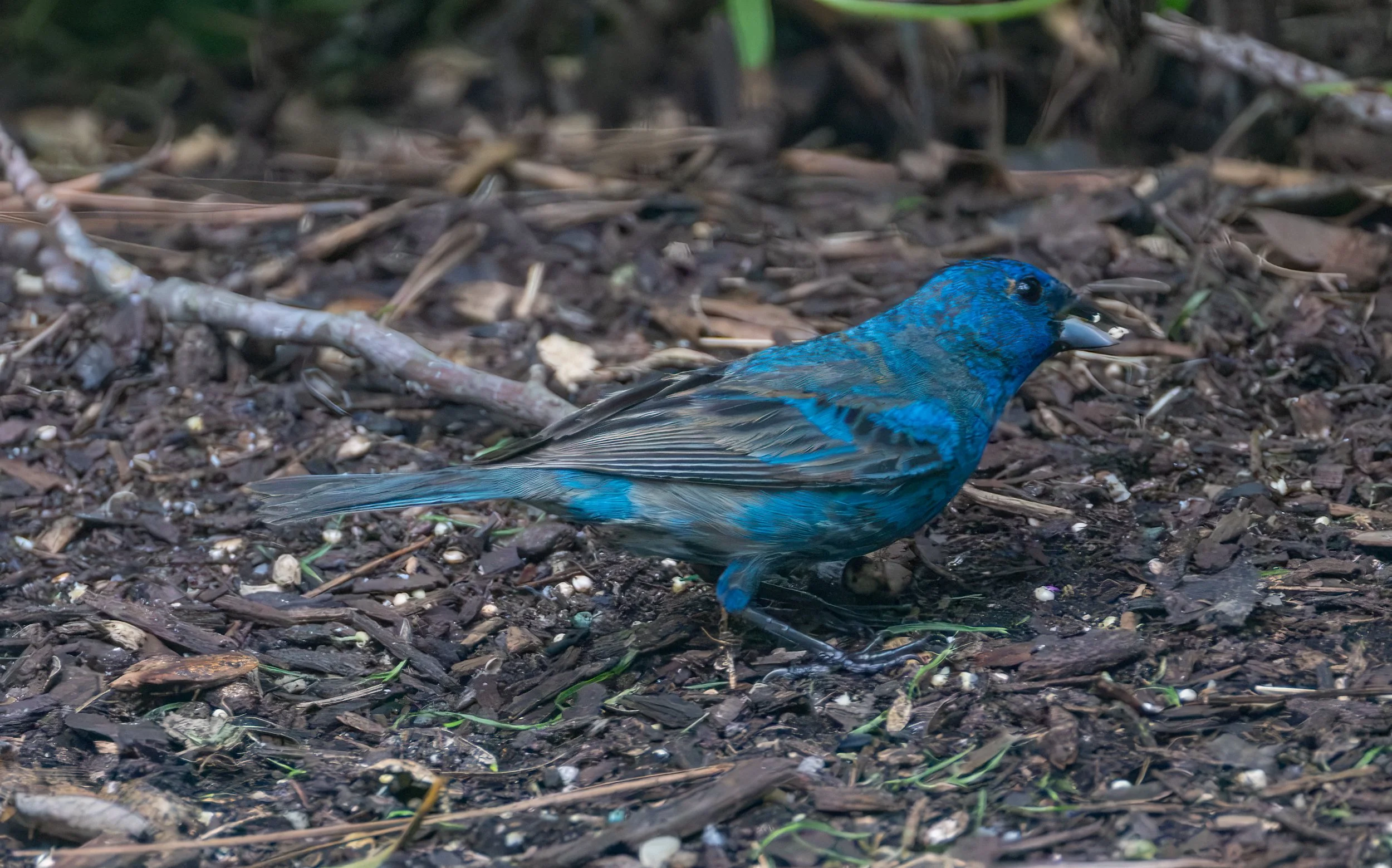 6H5A3559-Edit.jpg