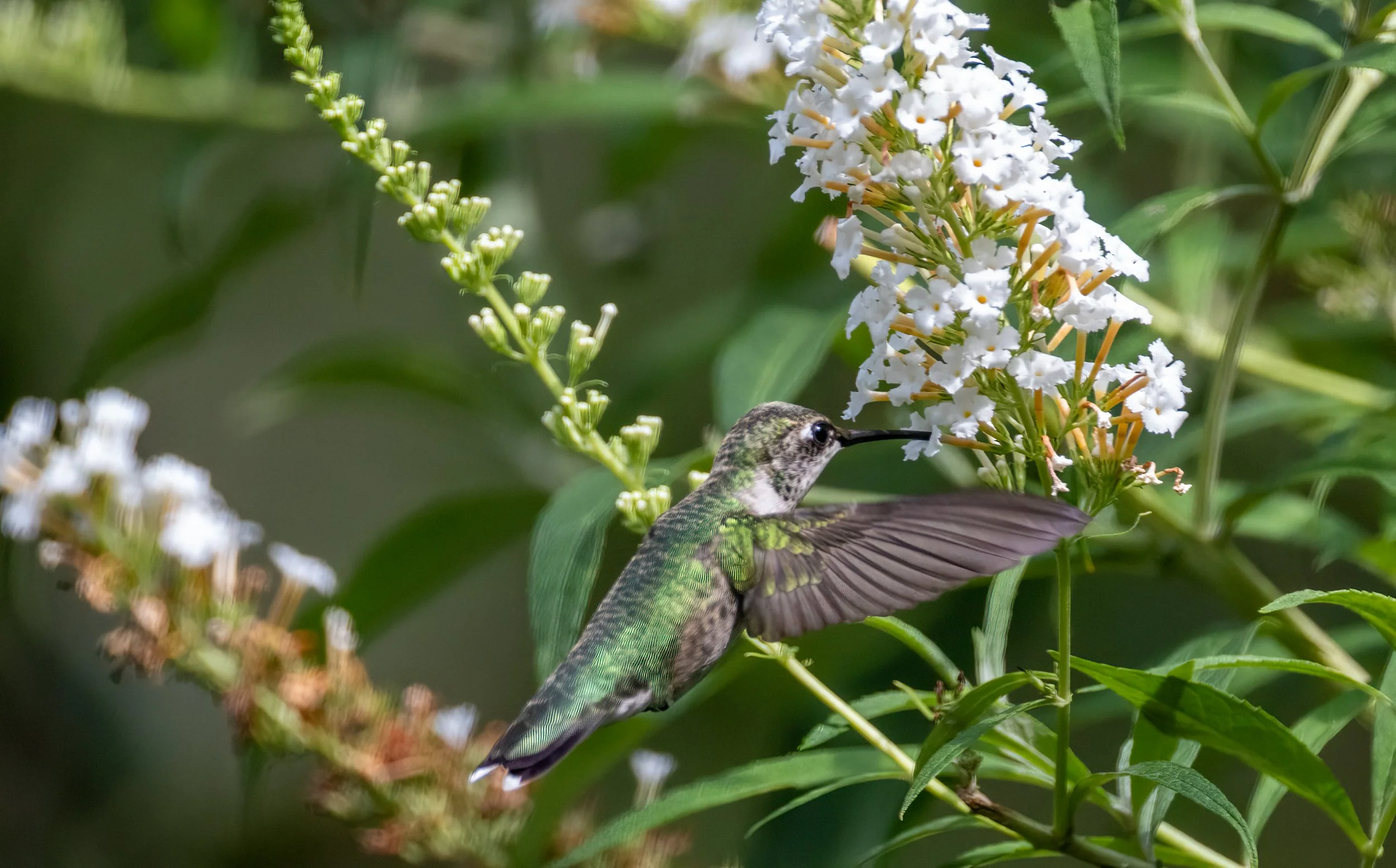 6H5A3594-Edit.jpg