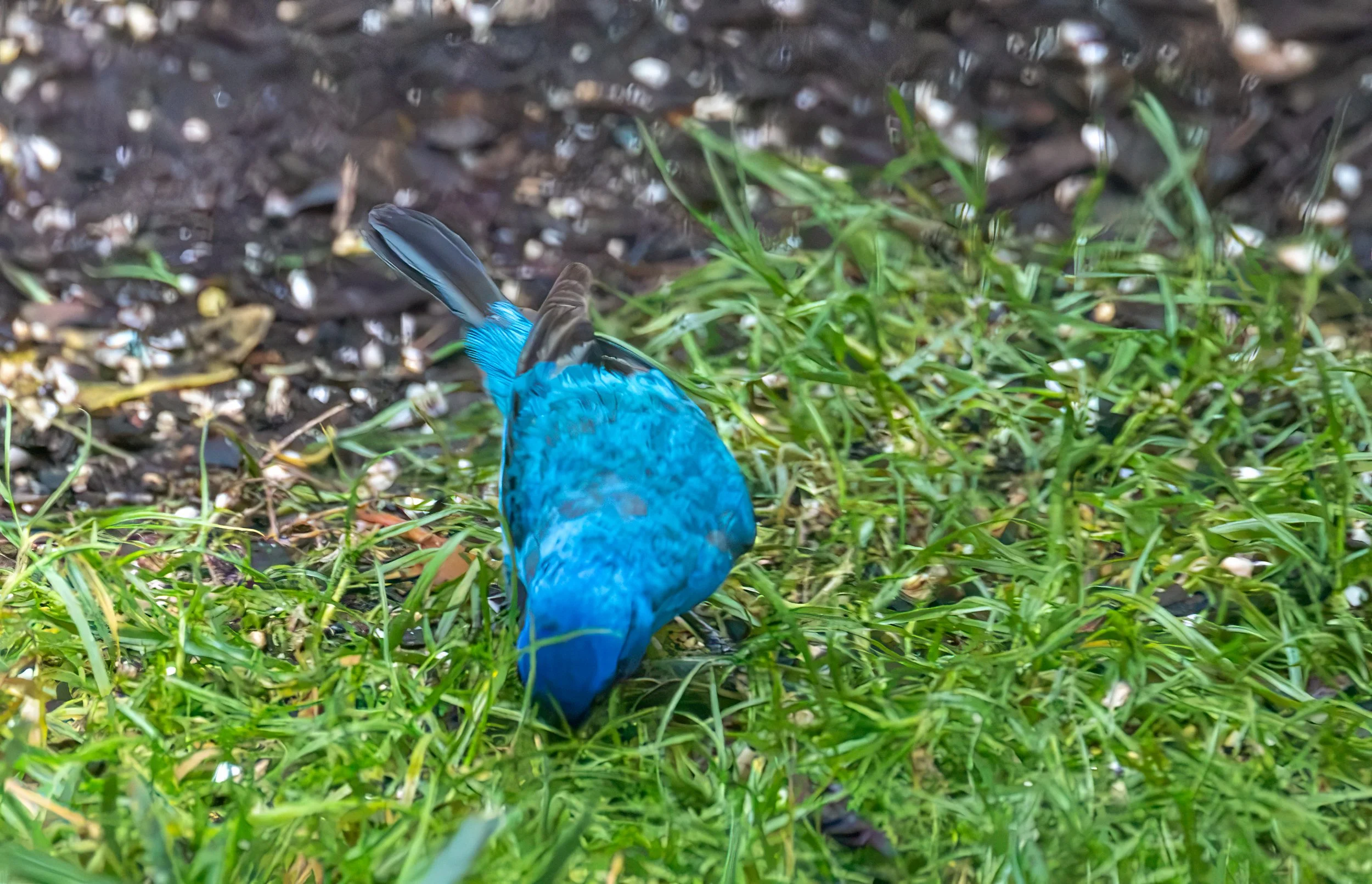 6H5A3425-Edit.jpg