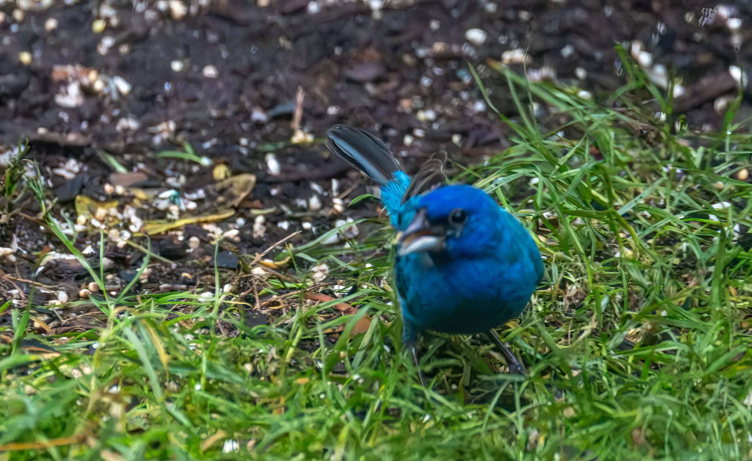 6H5A3426-Edit.jpg