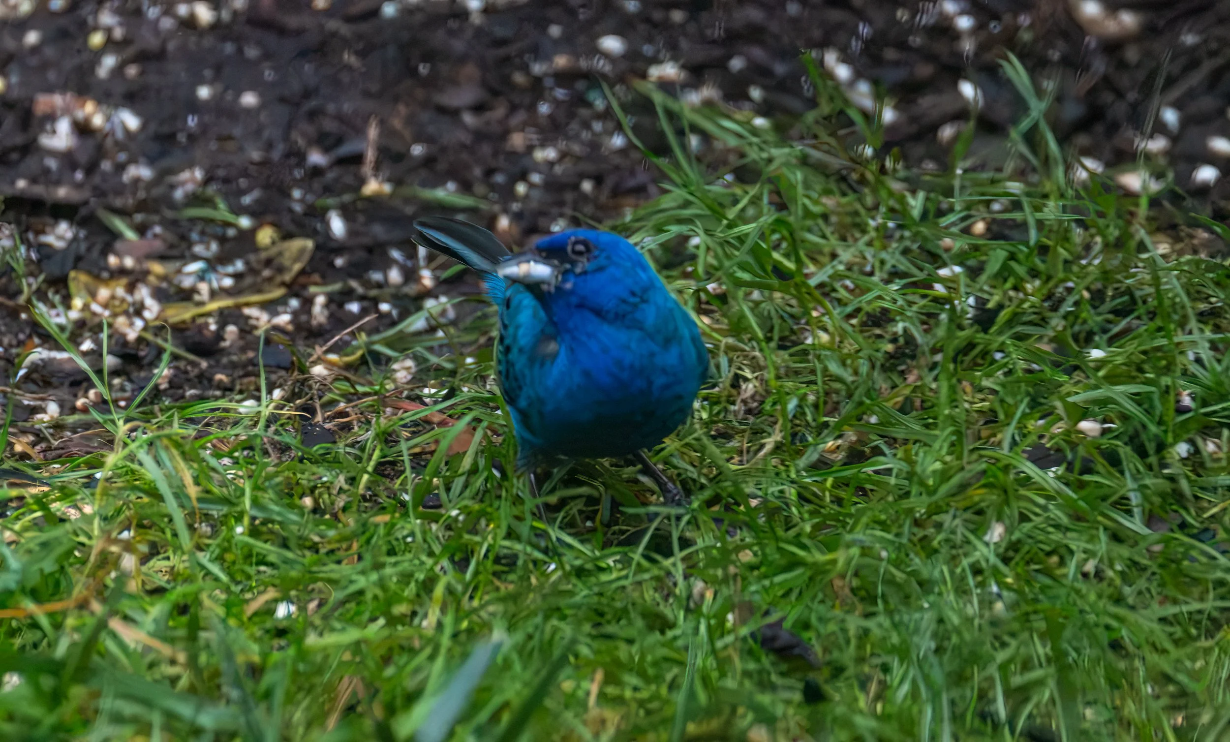 6H5A3430-Edit.jpg