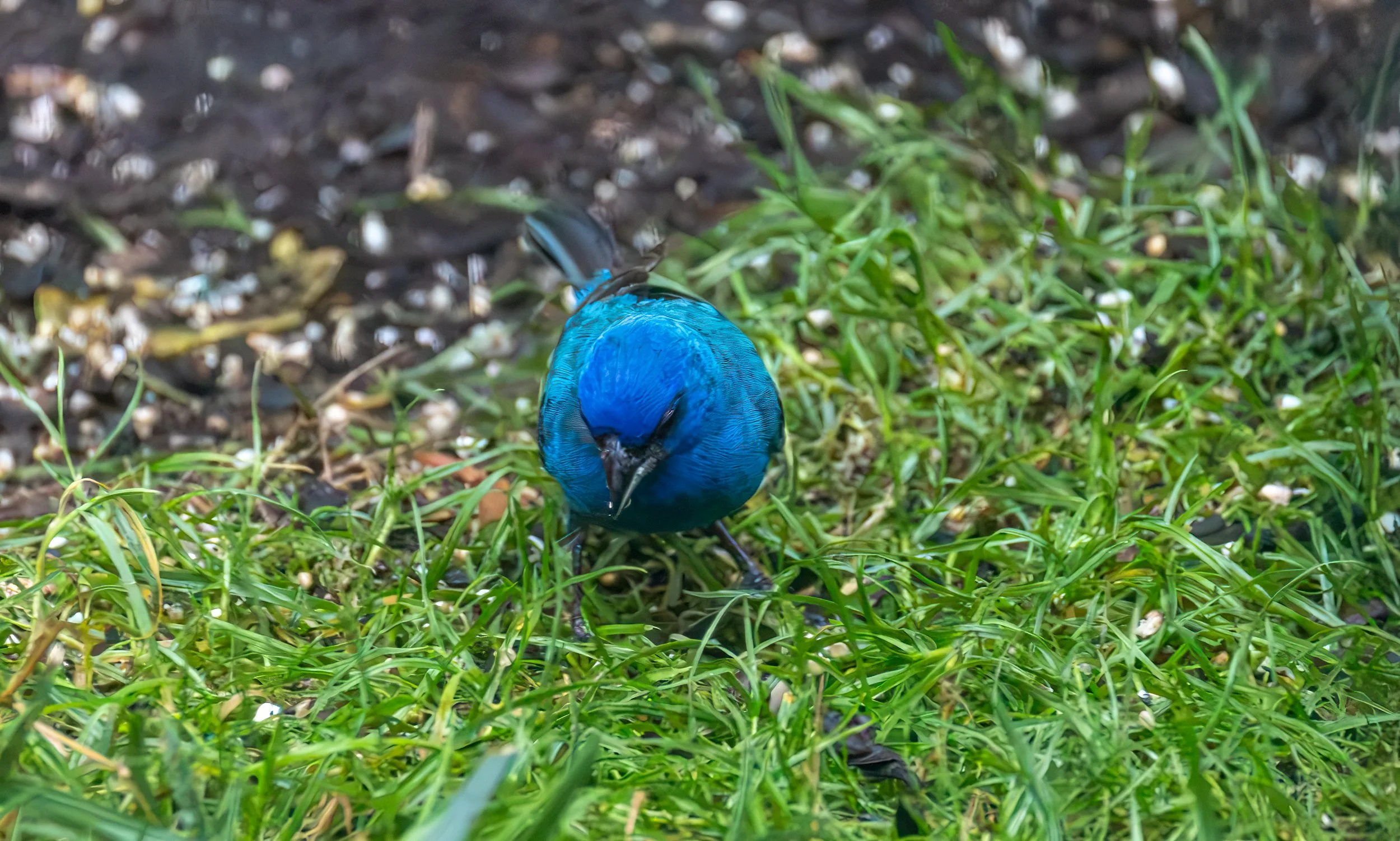 6H5A3431-Edit.jpg