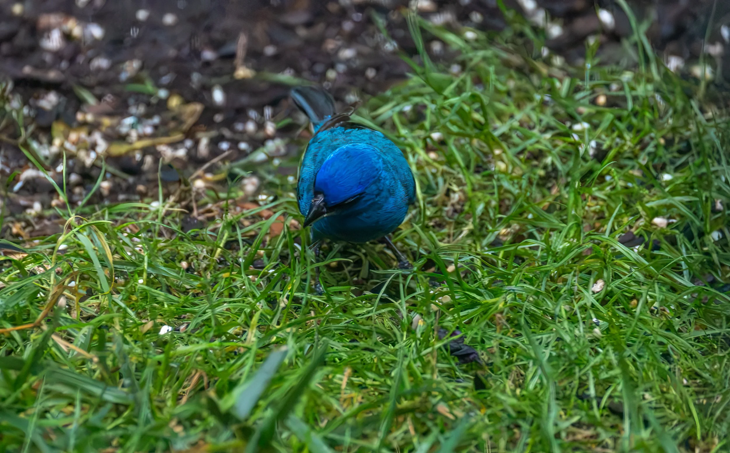 6H5A3433-Edit.jpg