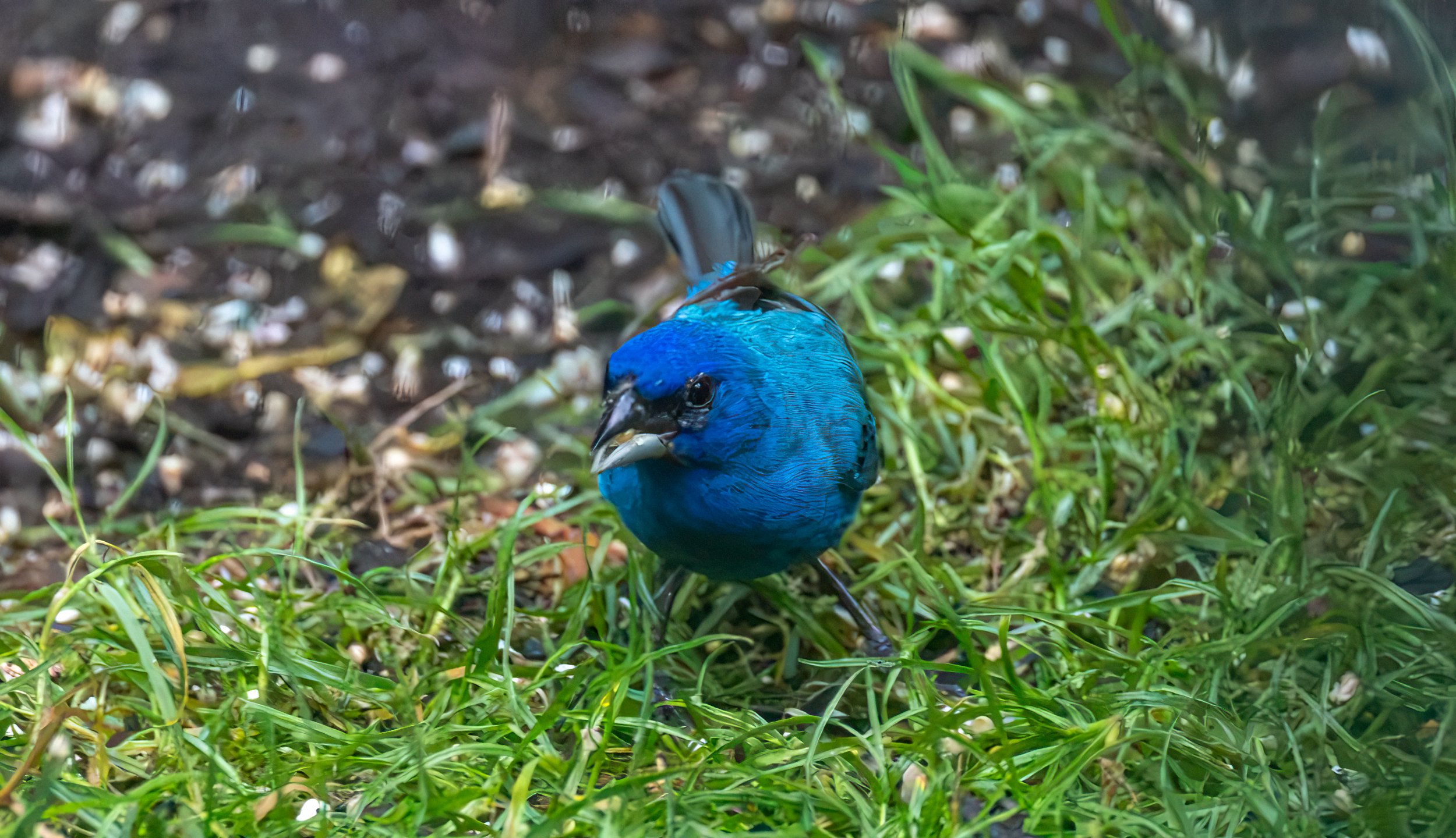 6H5A3436-Edit.jpg