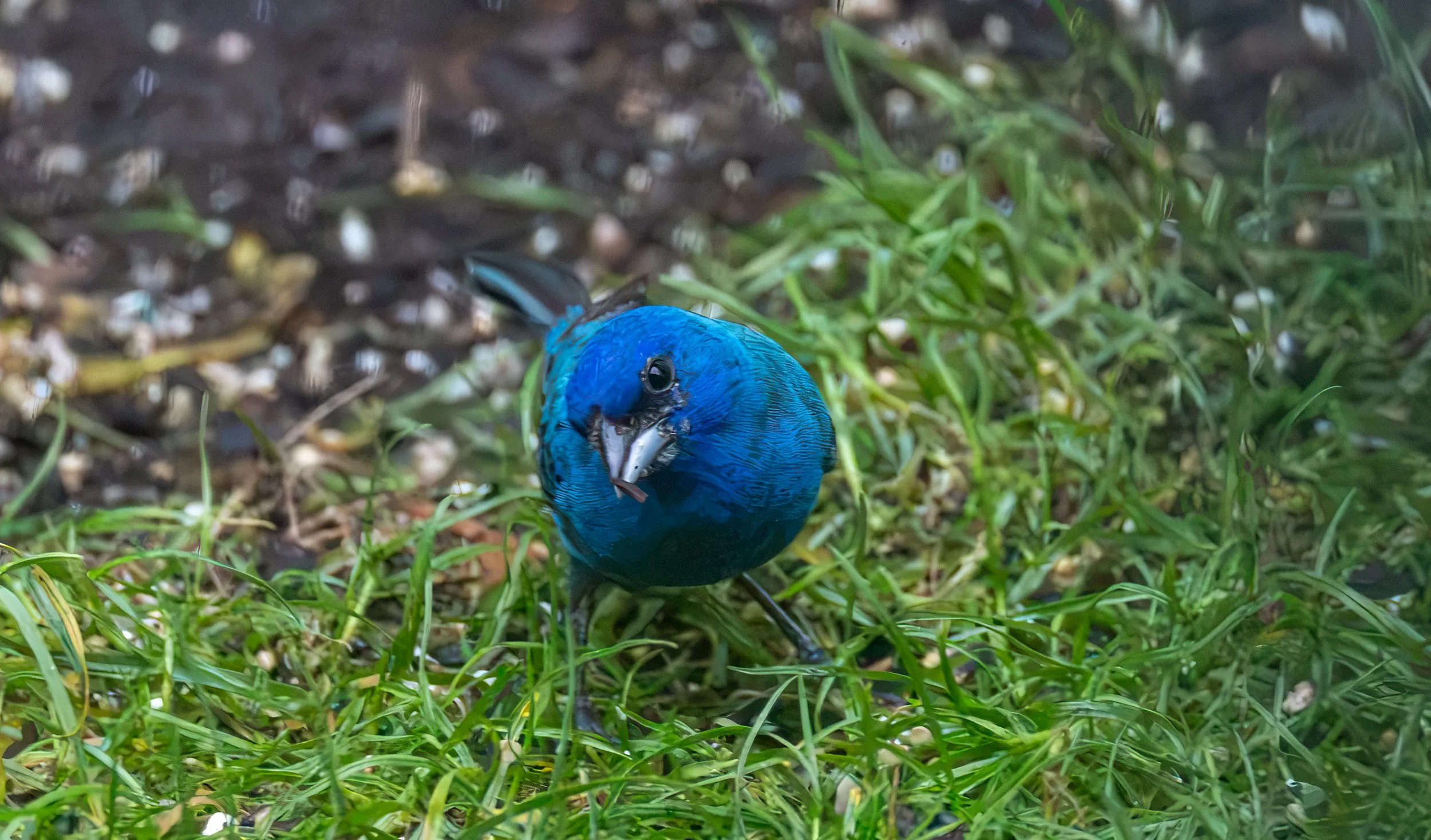 6H5A3441-Edit.jpg