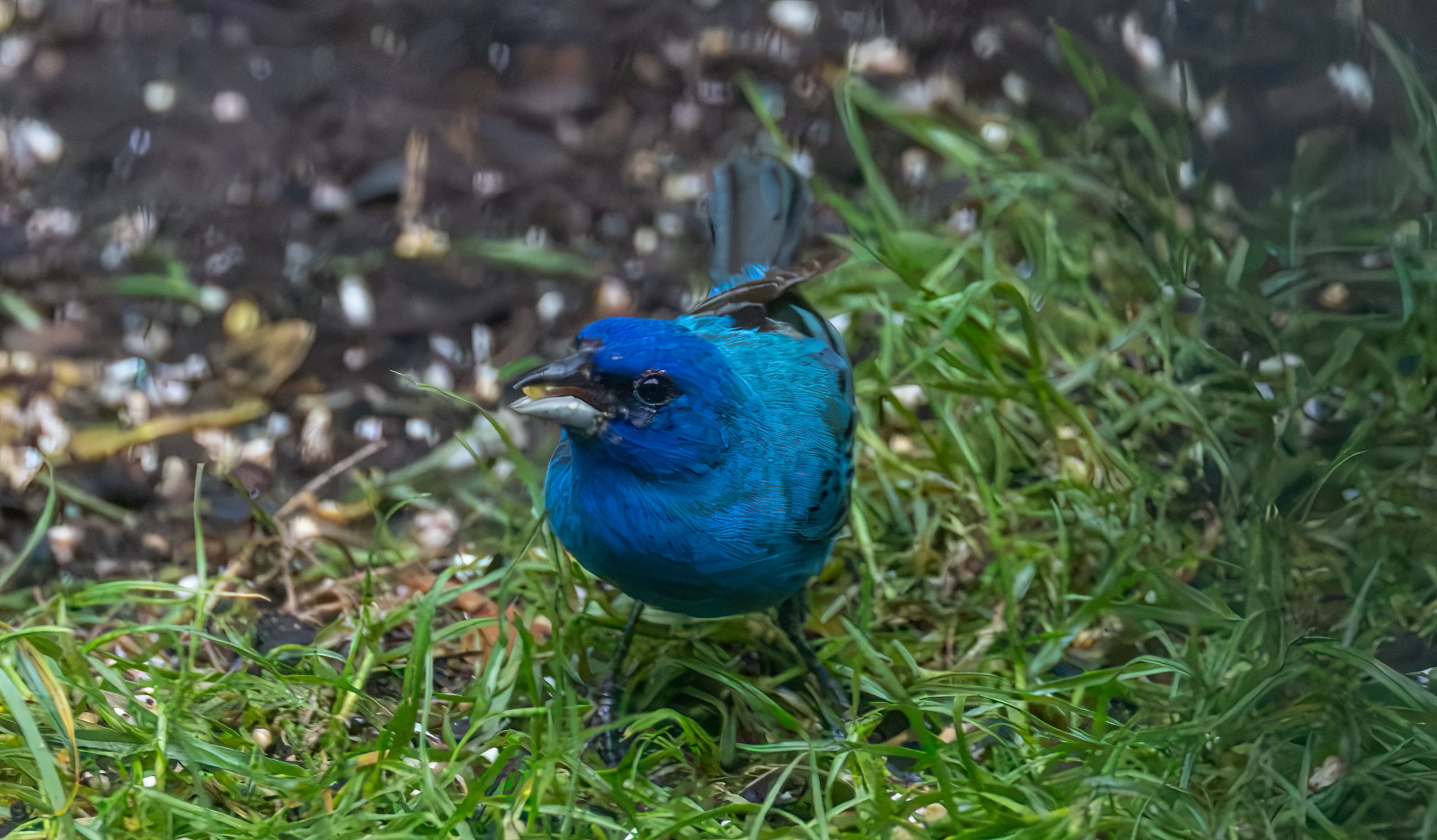 6H5A3443-Edit.jpg