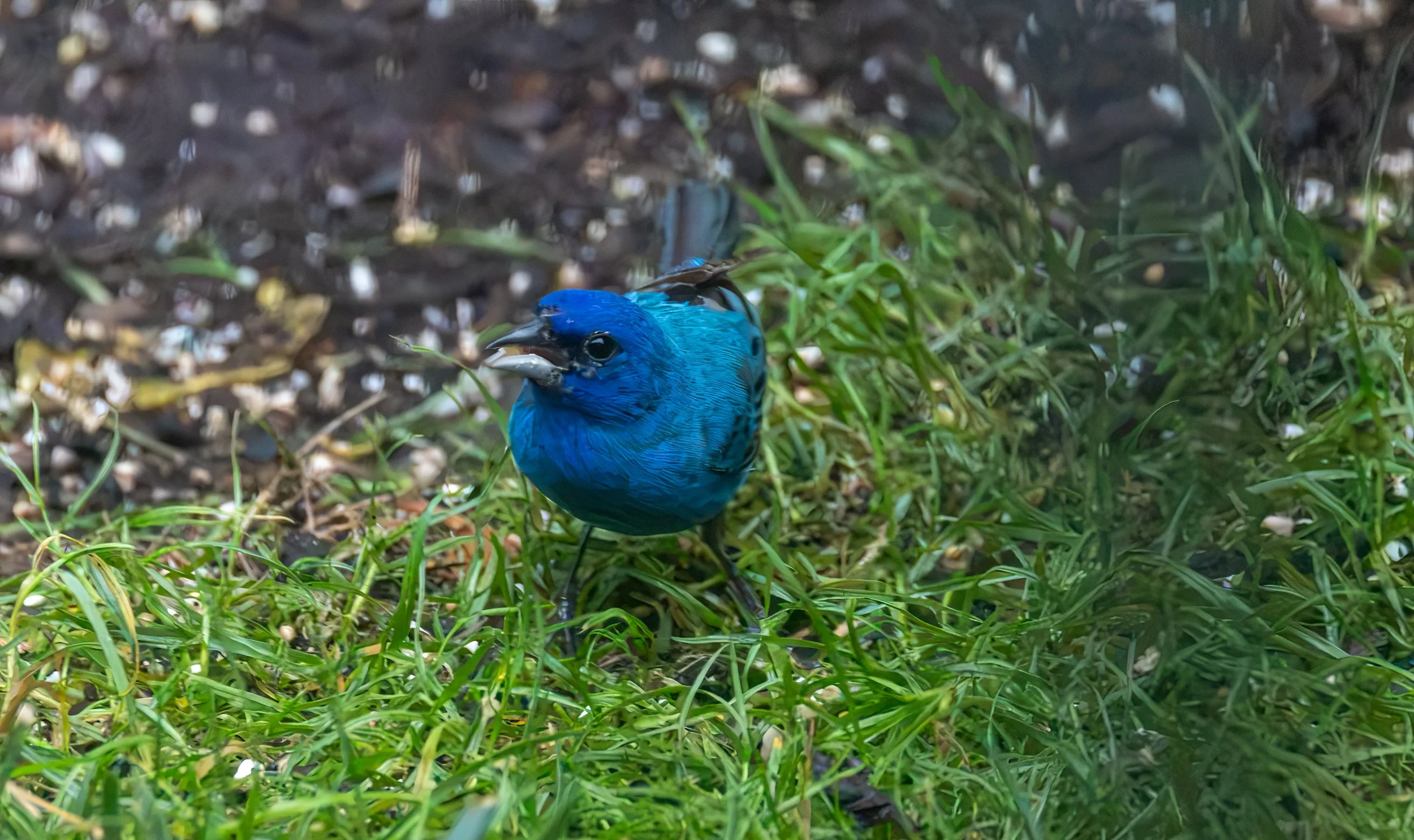 6H5A3444-Edit.jpg