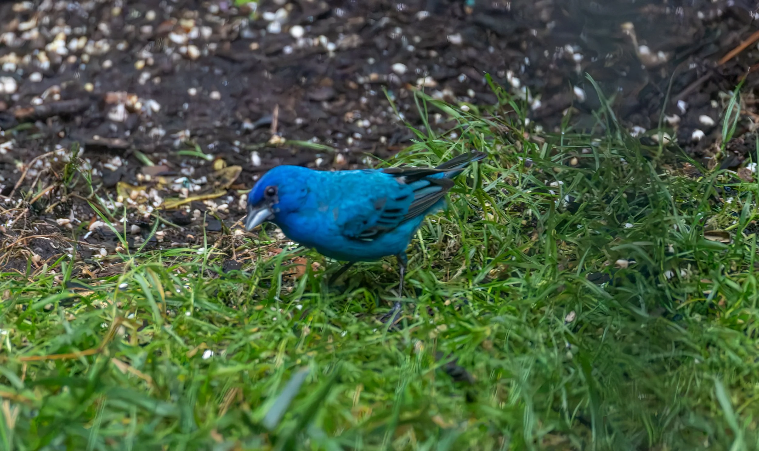 6H5A3446-Edit.jpg