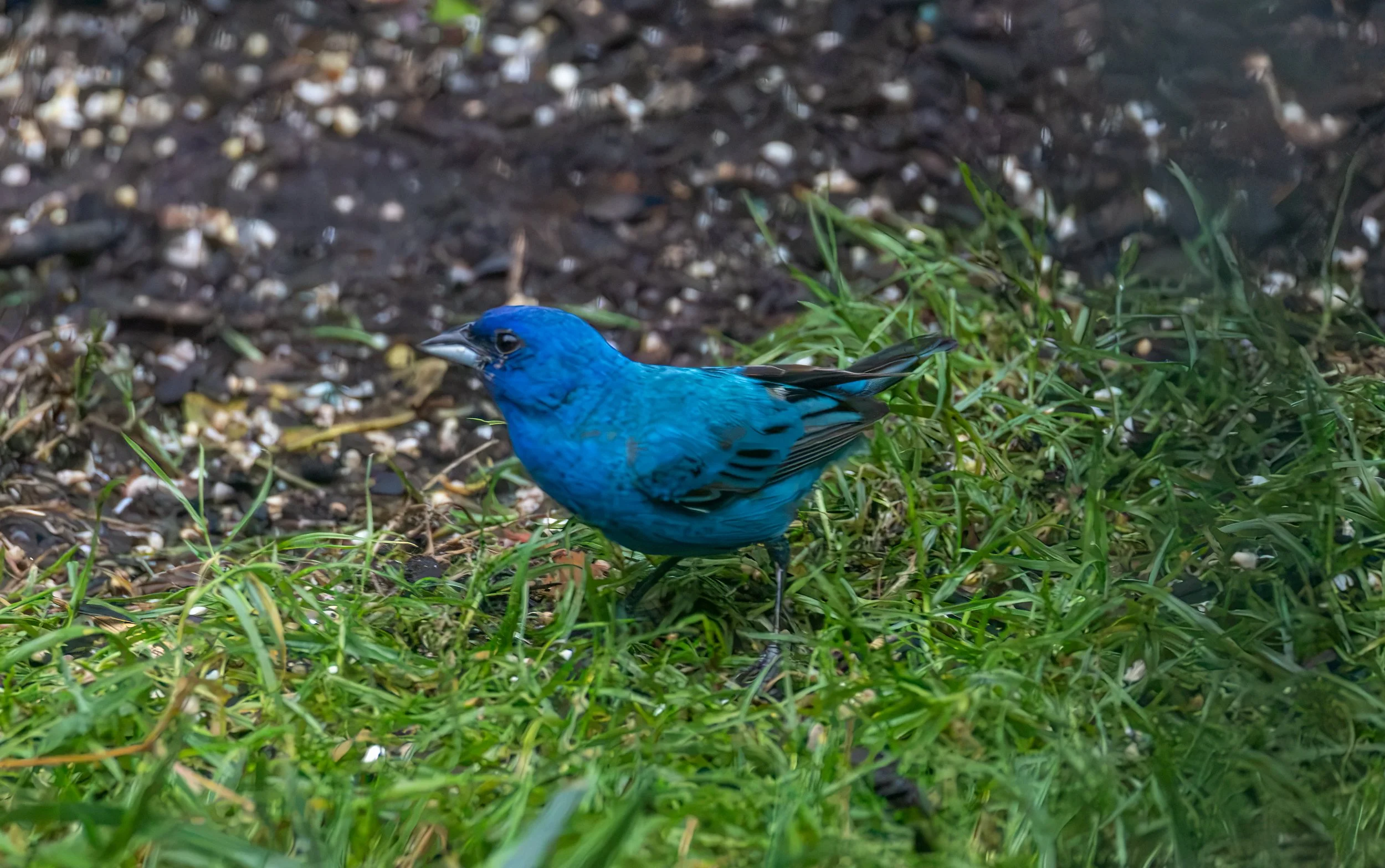6H5A3448-Edit.jpg